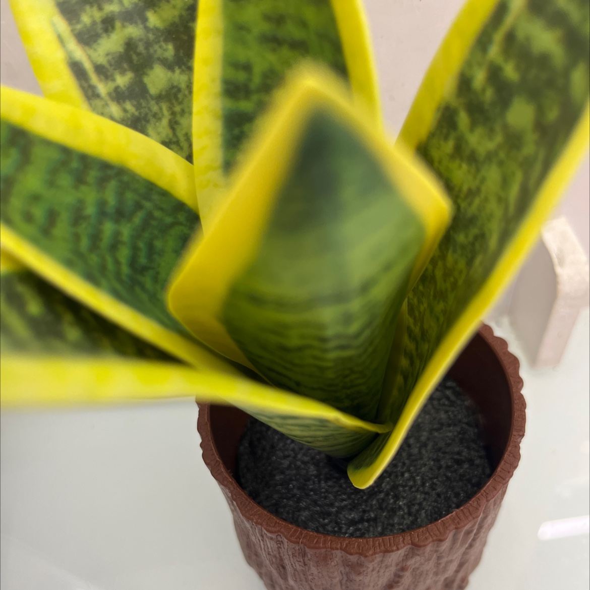 仿真花假花坊真木棍珊栏玉兰花仿真仿真松塔草马蹄莲仿真花详情7