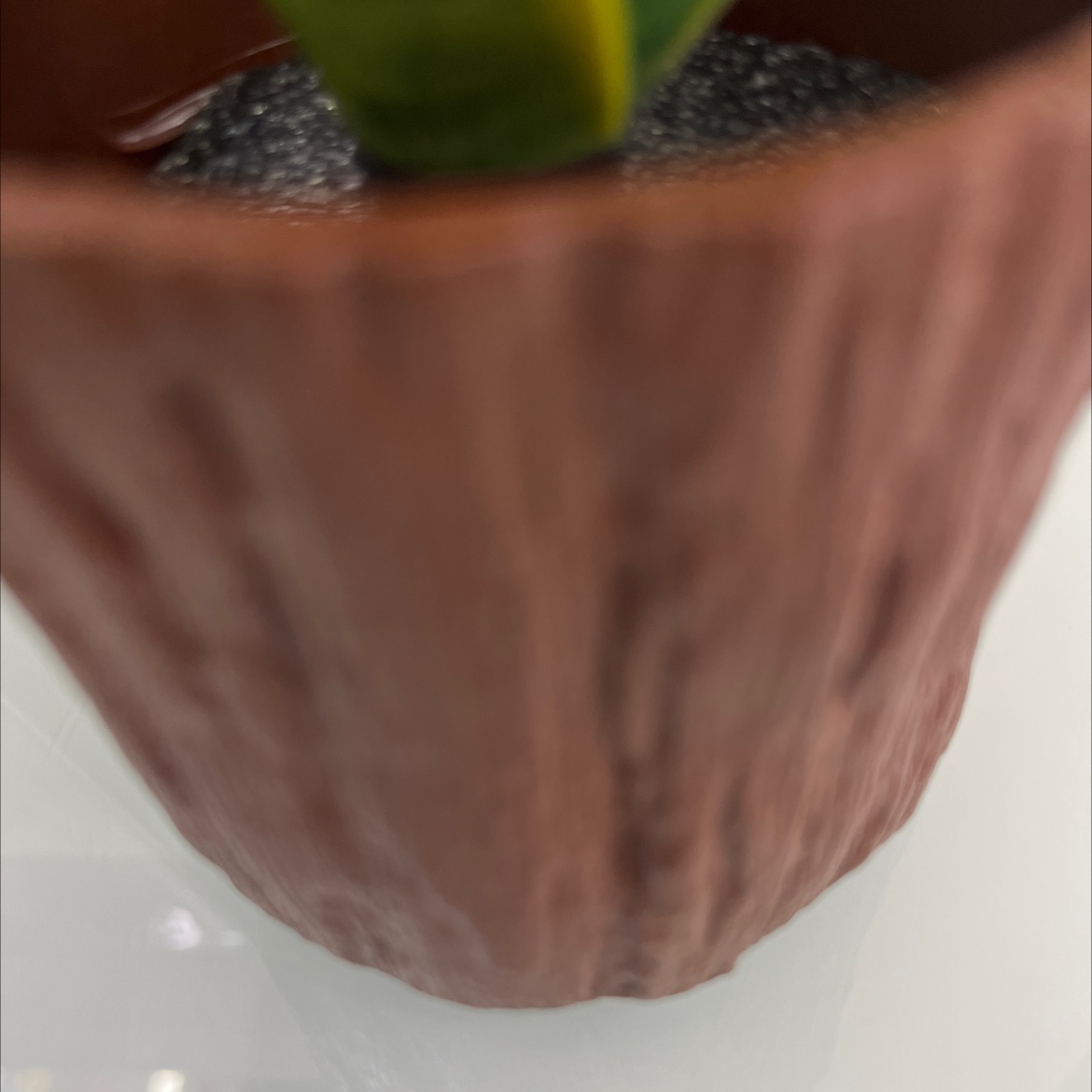 仿真花假花坊真木棍珊栏玉兰花仿真仿真松塔草马蹄莲仿真花详情13