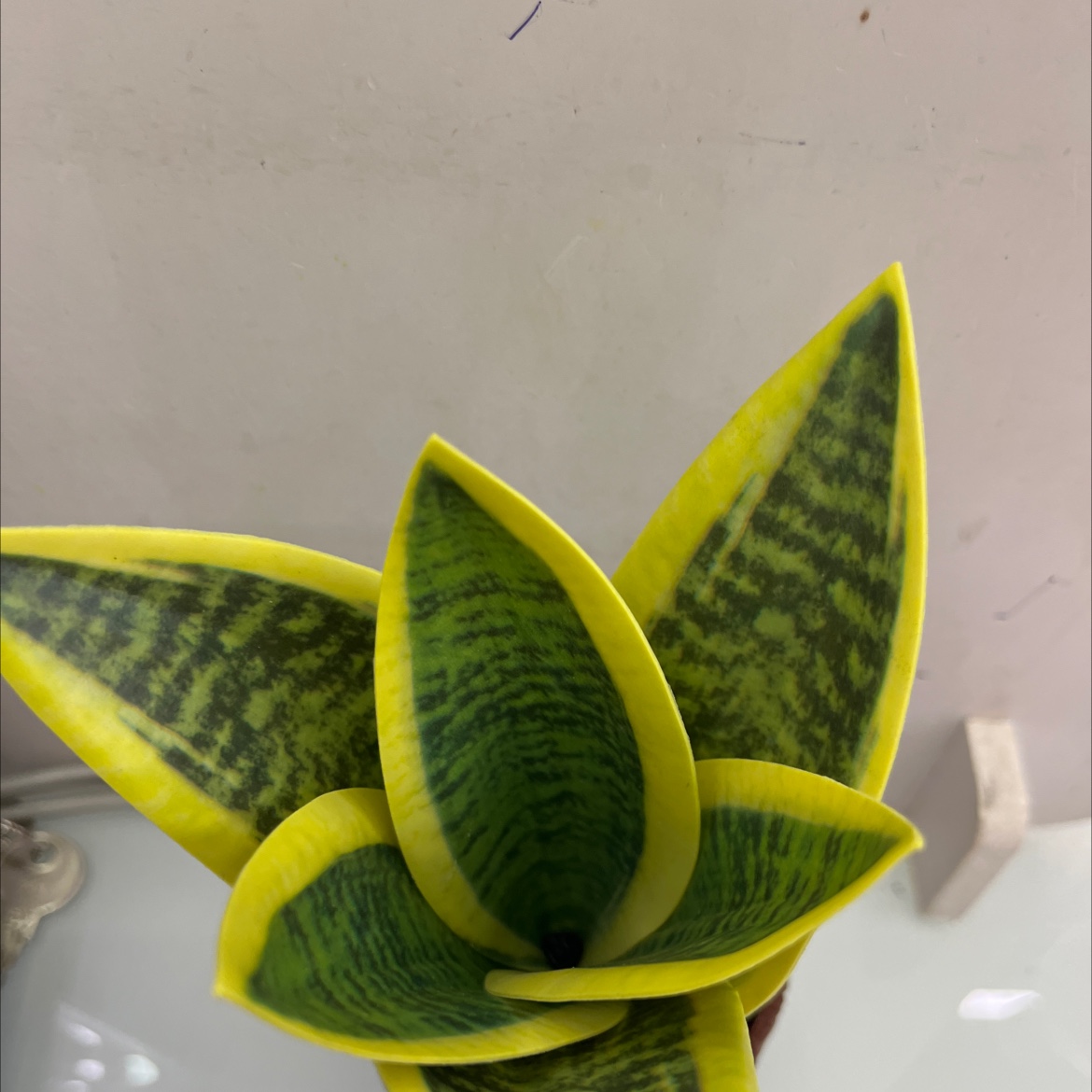 仿真花假花坊真木棍珊栏玉兰花仿真仿真松塔草马蹄莲仿真花详情10