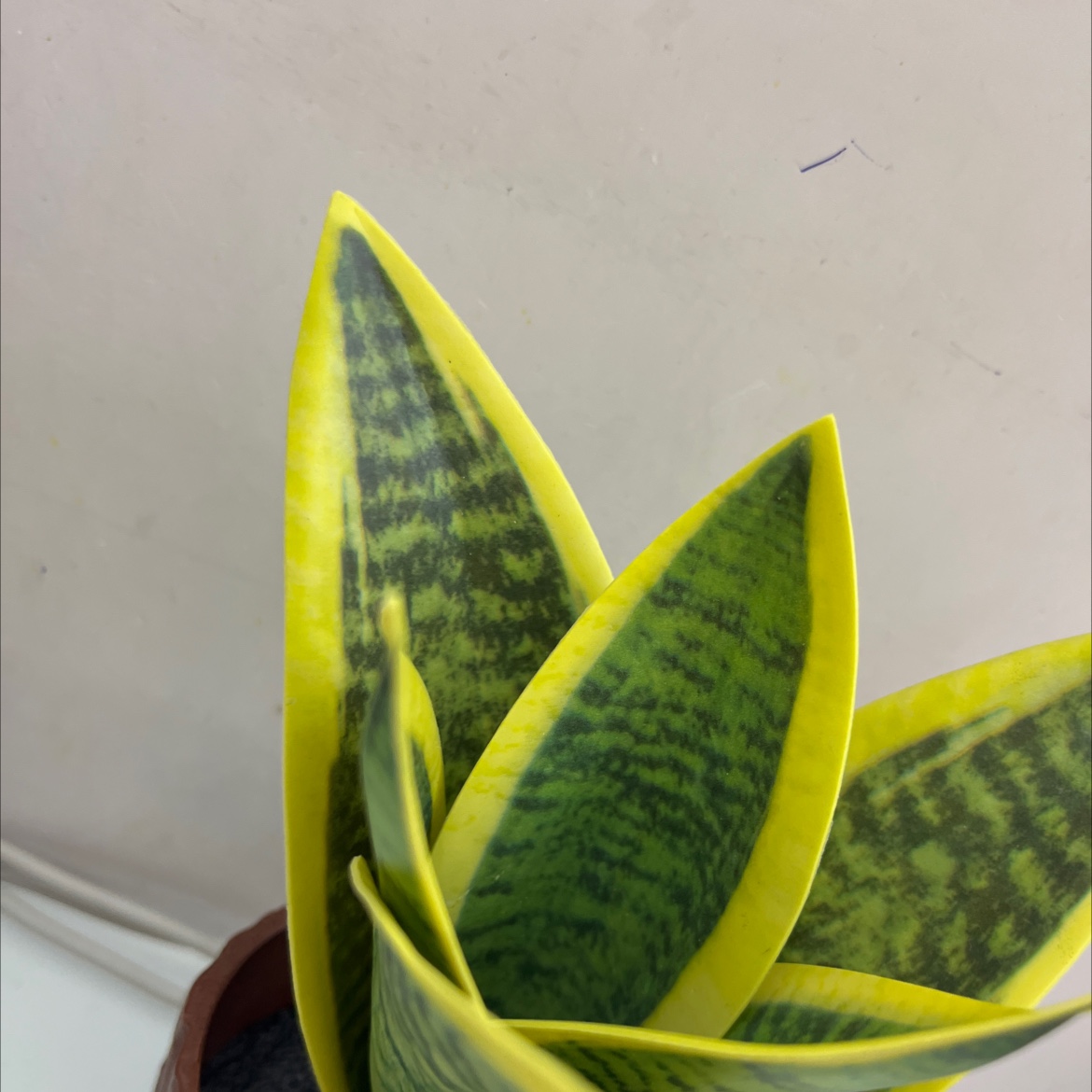 仿真花假花坊真木棍珊栏玉兰花仿真仿真松塔草马蹄莲仿真花详情9