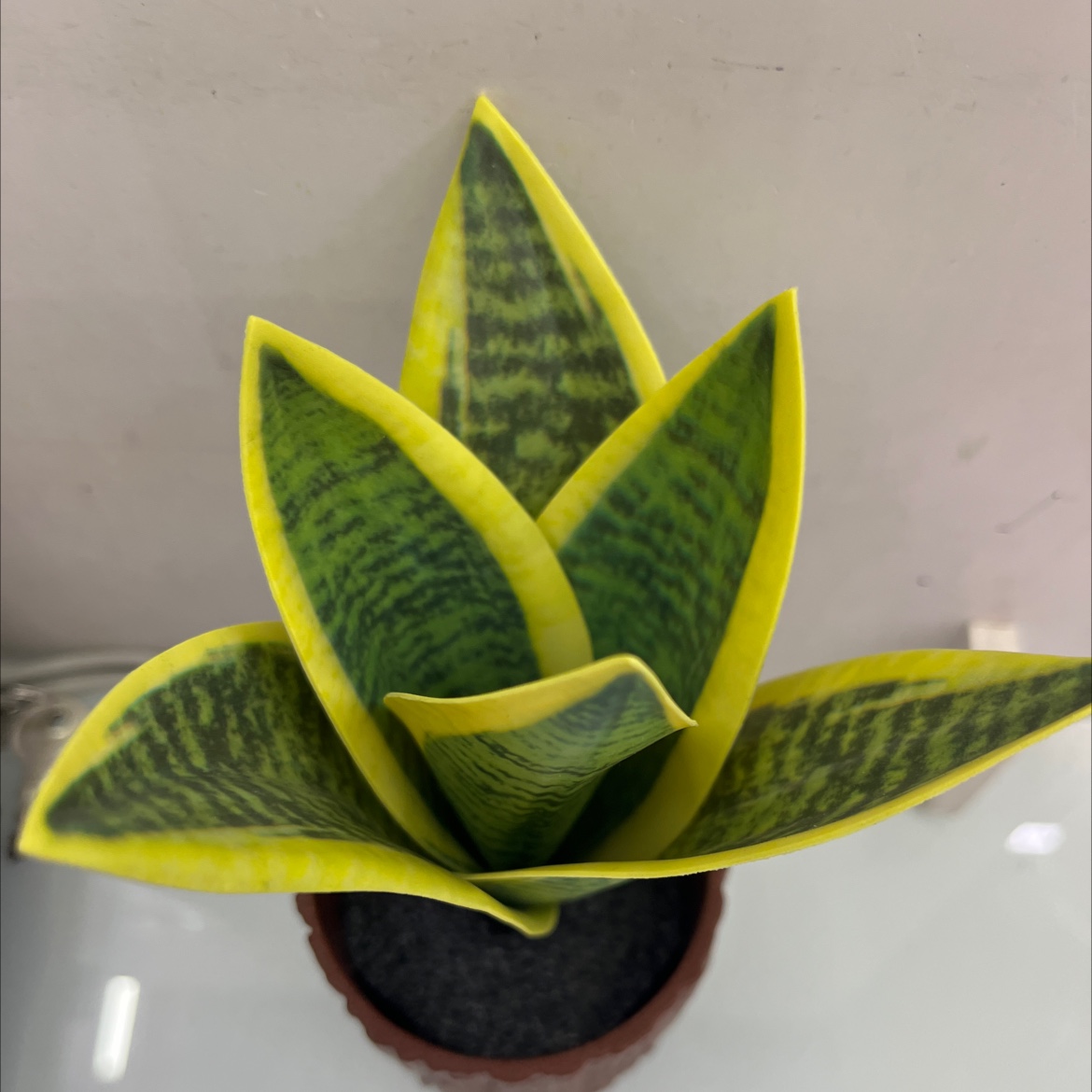 仿真花假花坊真木棍珊栏玉兰花仿真仿真松塔草马蹄莲仿真花详情5