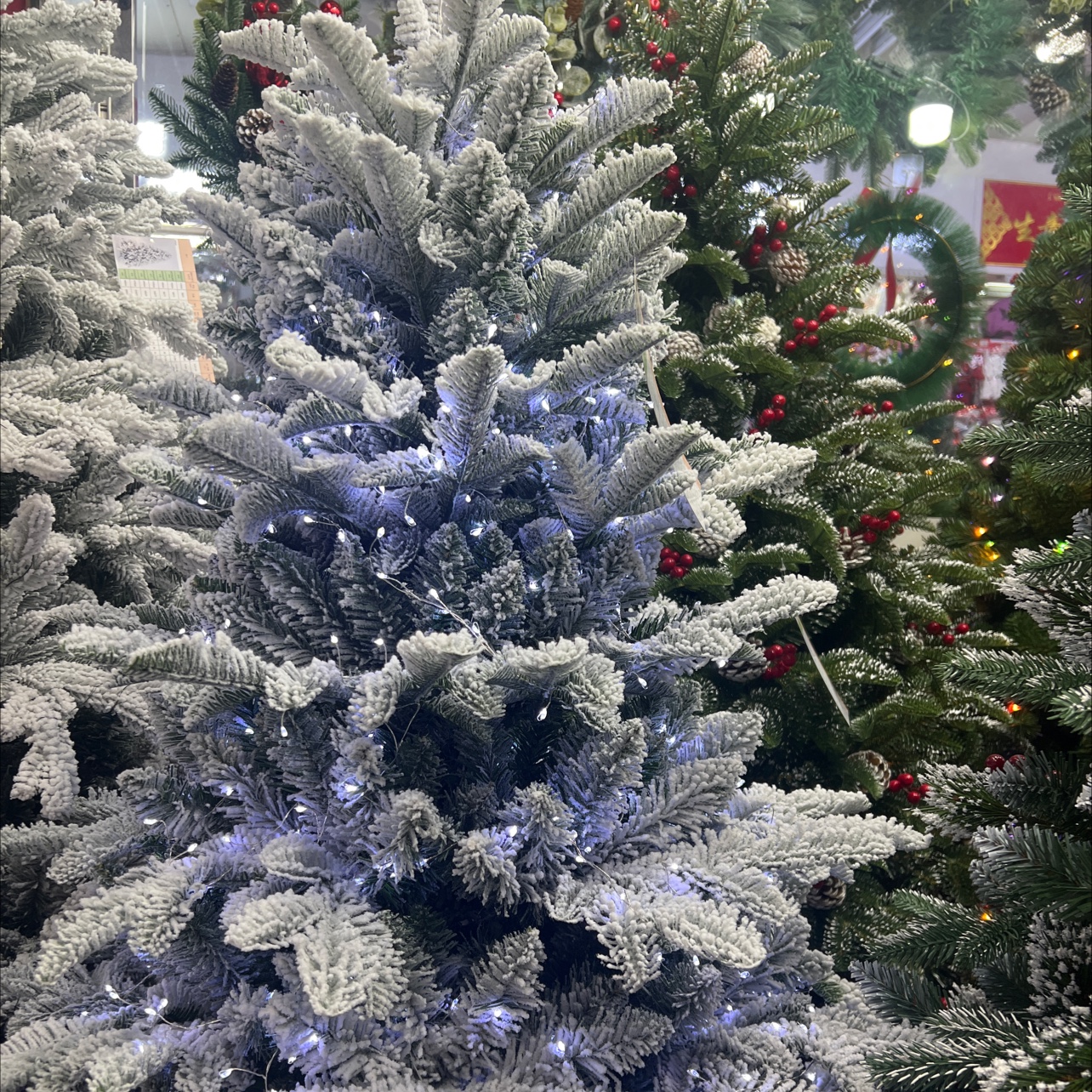 植物工艺品实物图