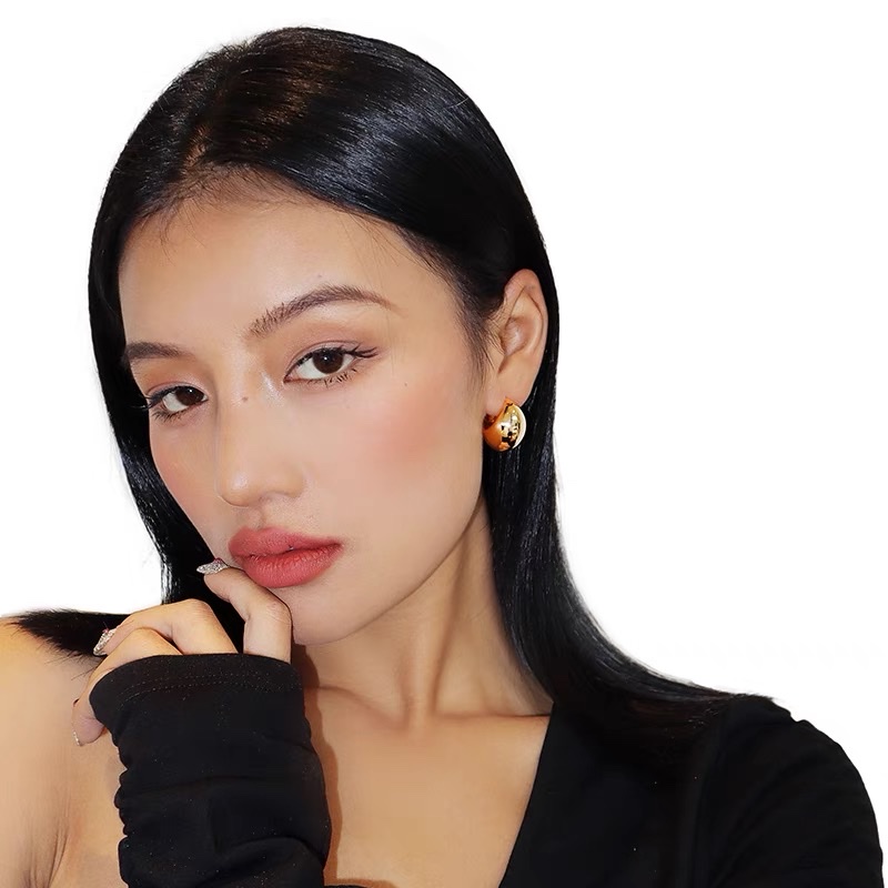 气质女士长款耳环 高级感耳饰 长款耳钉 精致饰品 女士首饰 独特设计欧美时尚大方金属耳环耳钉饰品产品图