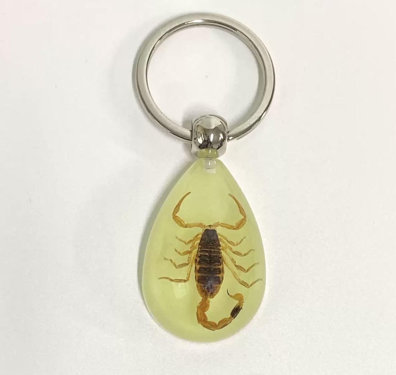 琥珀蝎子昆虫钥匙扣 details Picture