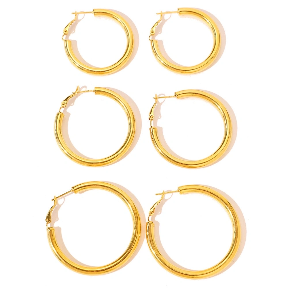 Korean Internet celebrity large earrings, stainless steel fashionable and cold style Instagram simple earrings, women's grand circle earrings detail image 4