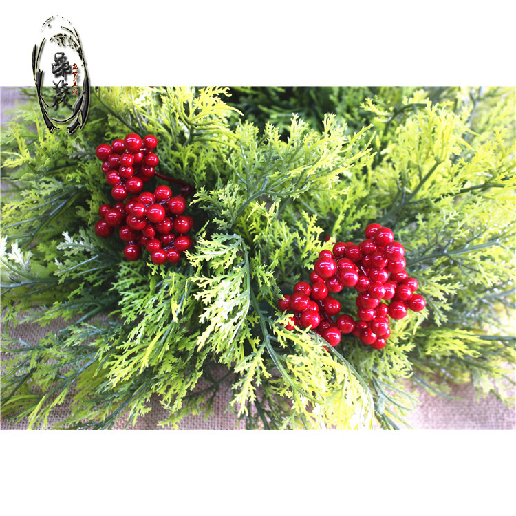 圣诞三叉红果花心发财果