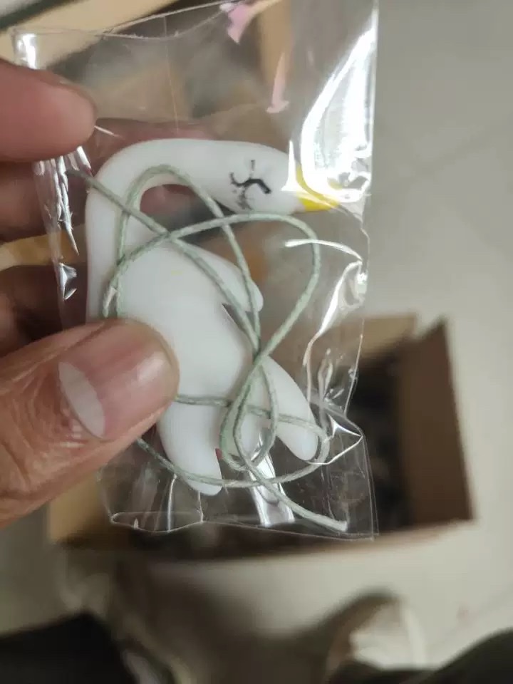 新品 爆款变色烤鸭