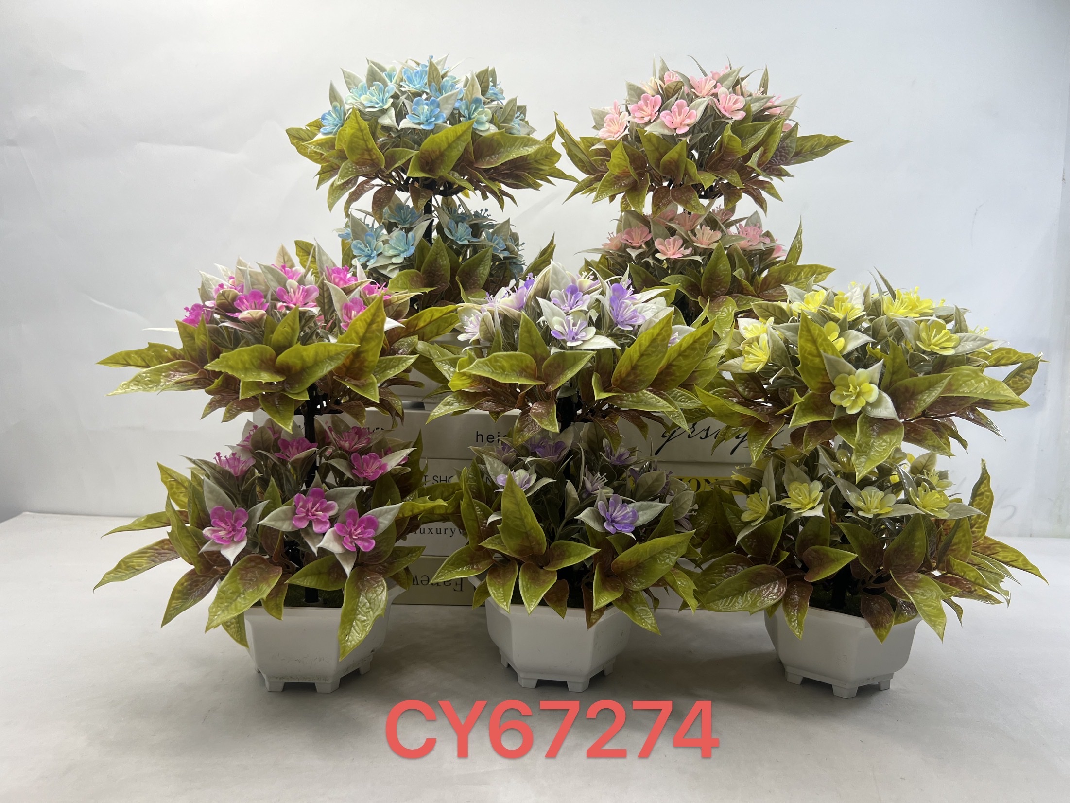 盆栽白底实物图