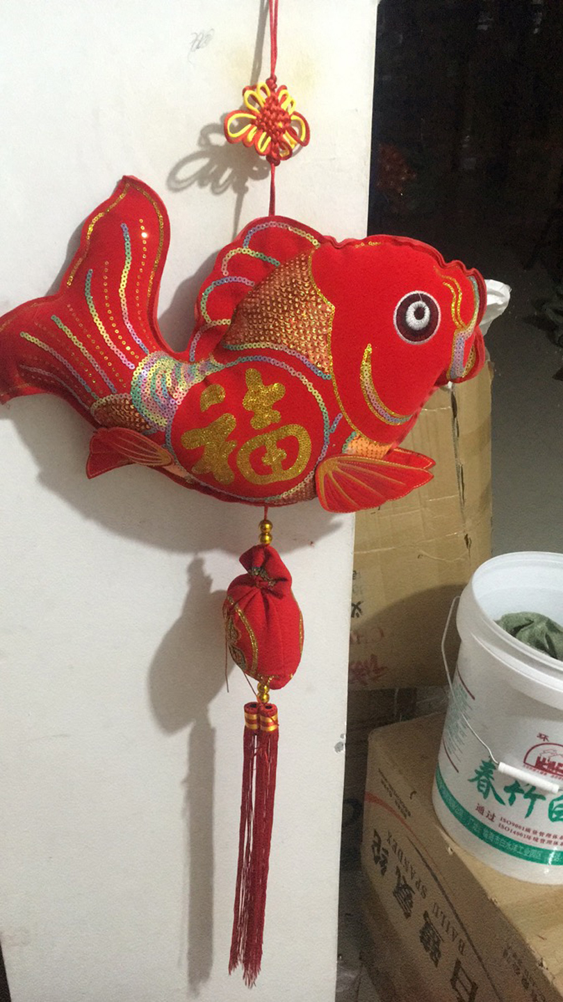 弯鱼253                       11