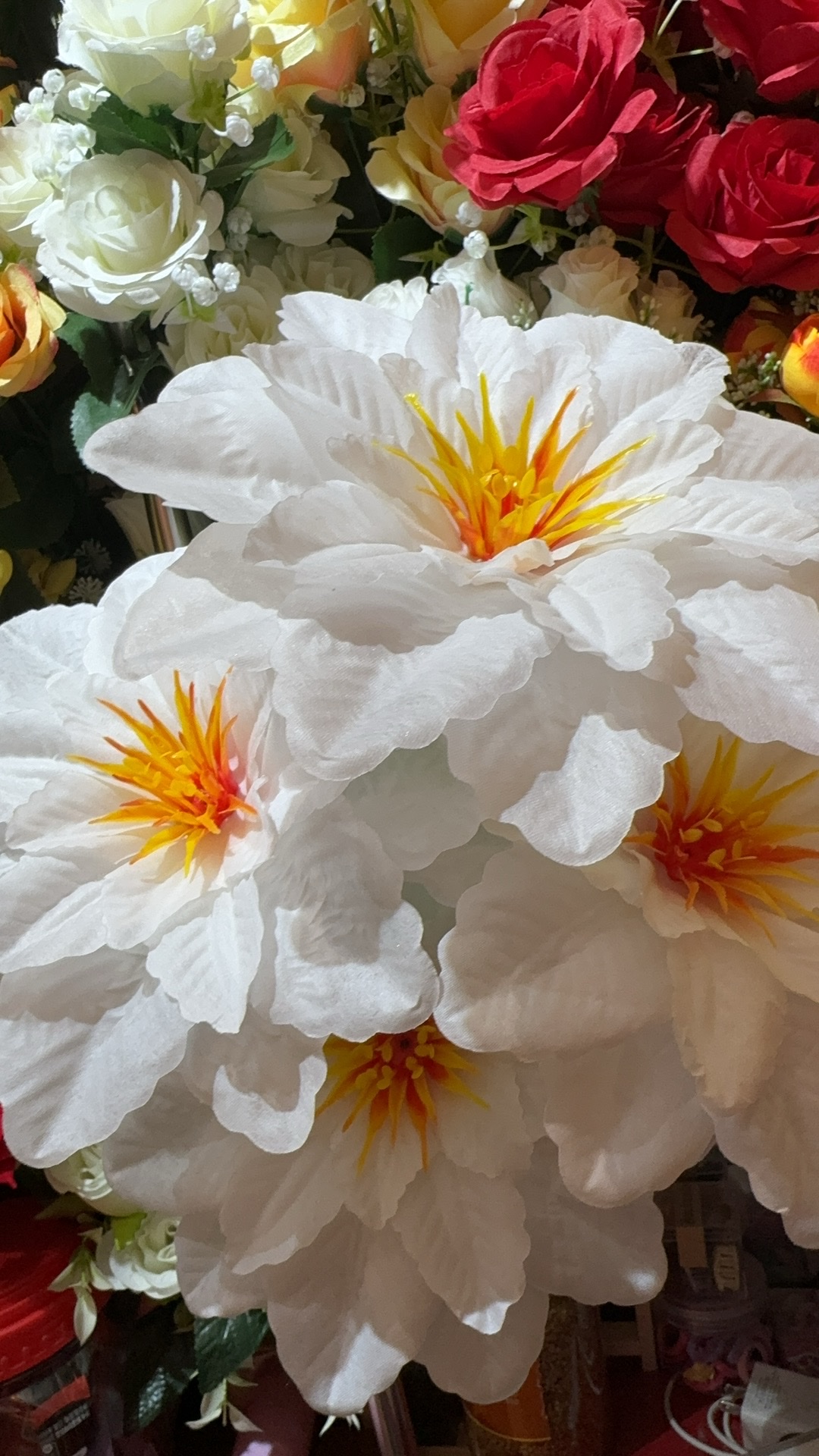 大白菜