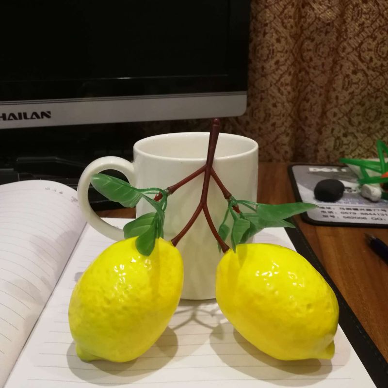 仿真蔬菜 ，55系列，134