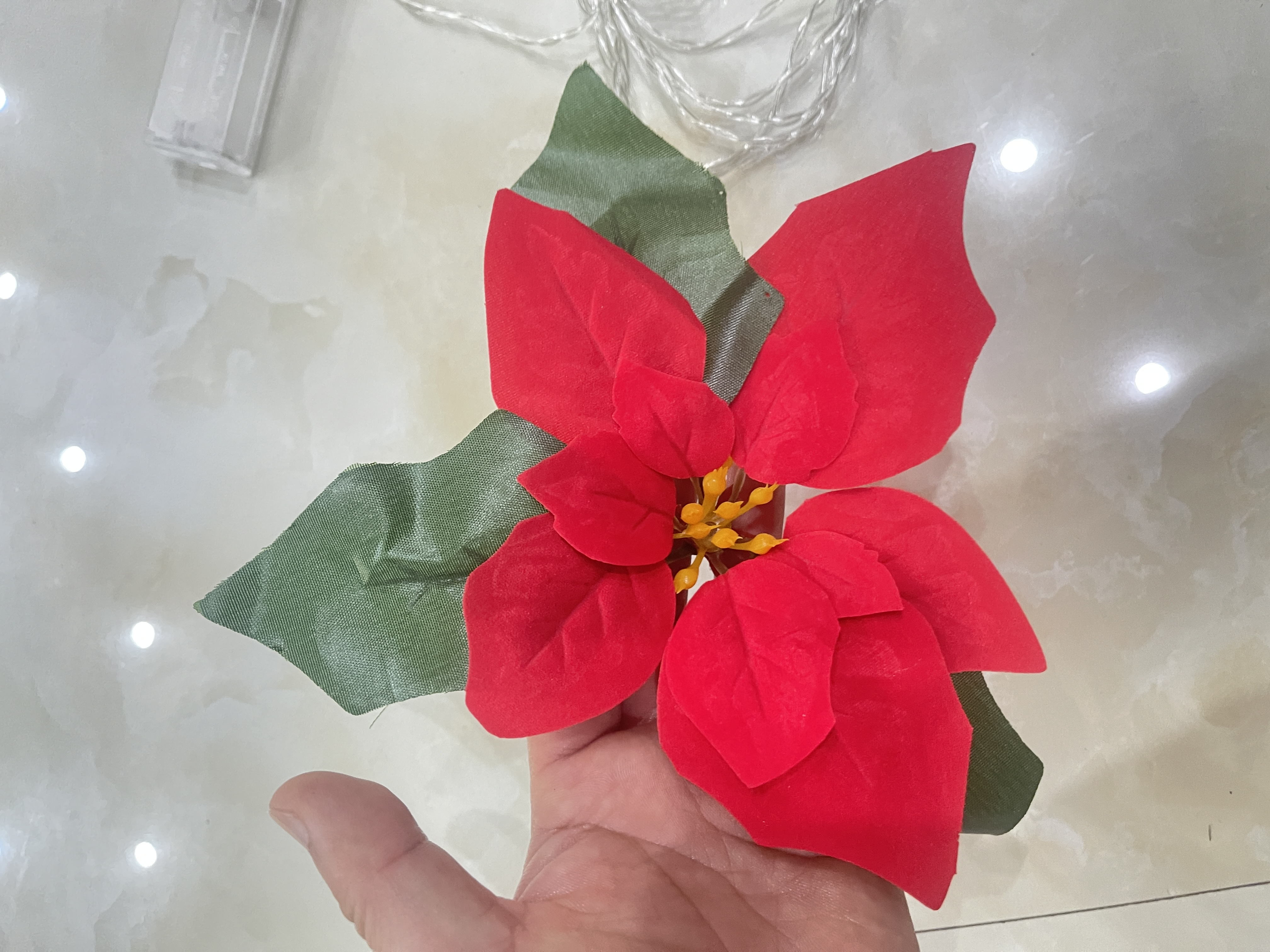 圣诞花123