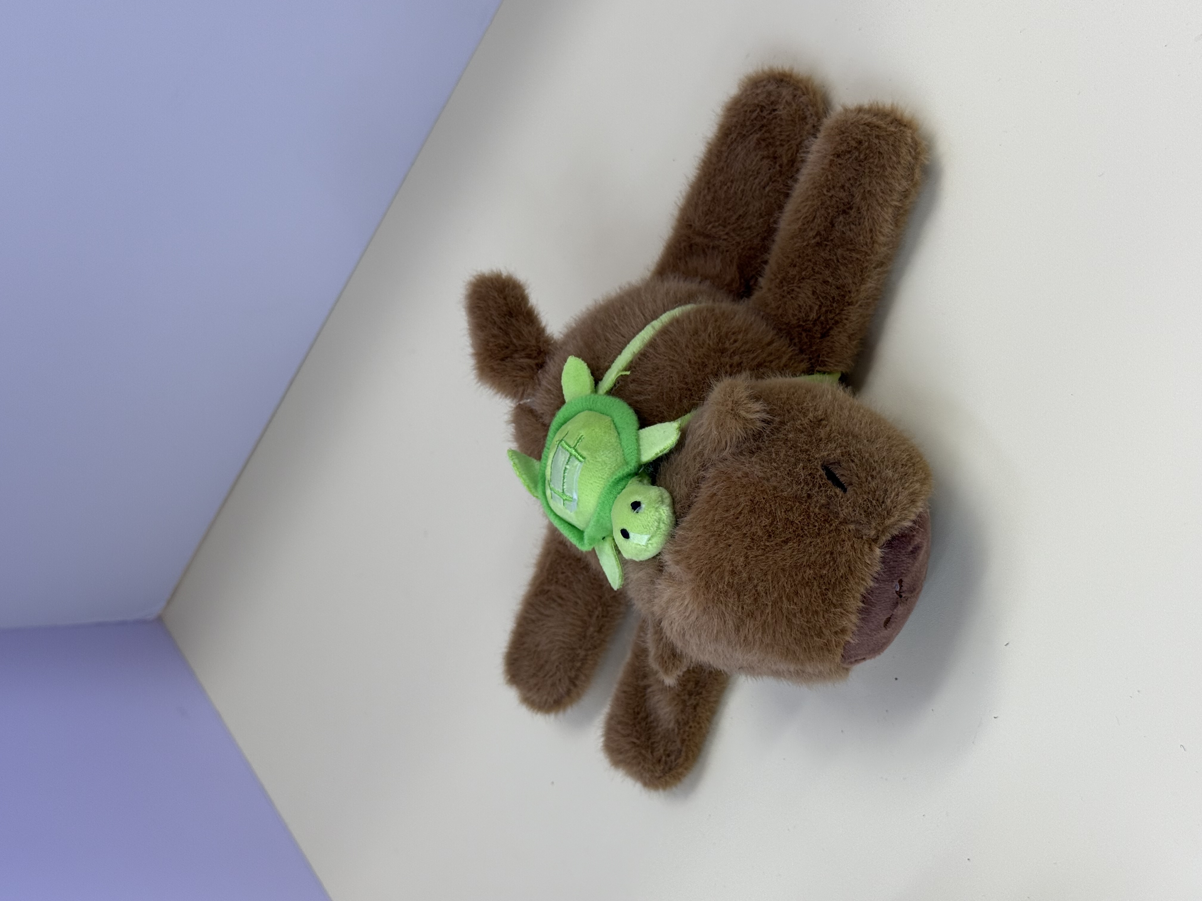 A plush toy doll of a turtle with a "Papa Circle" and a "Kapibala Back" details Picture