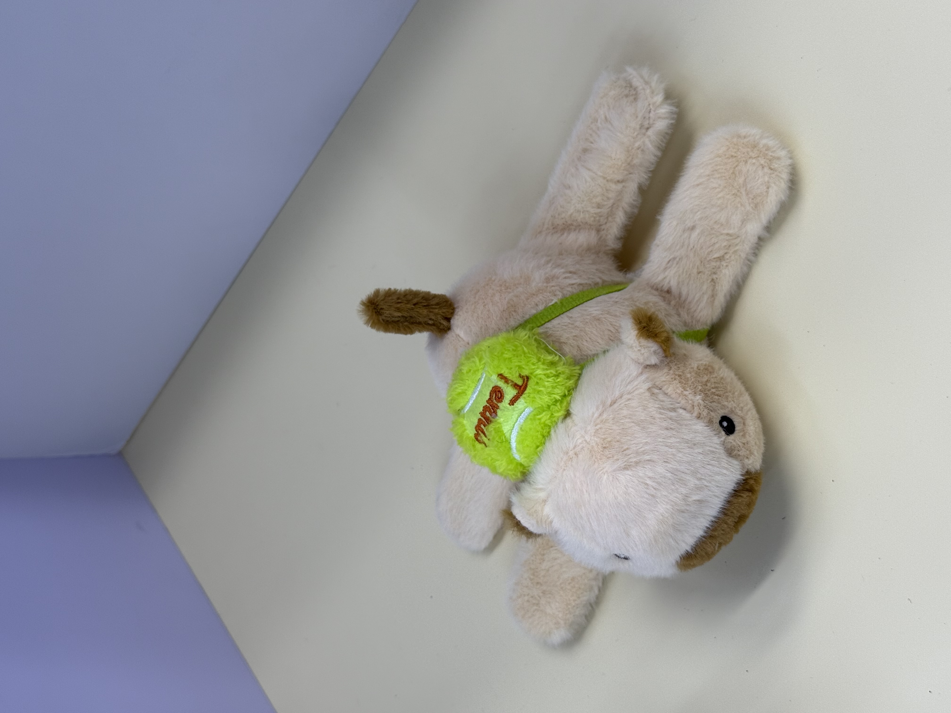 A plush toy doll of a turtle with a "Papa Circle" and a "Kapibala Back" detail image 3
