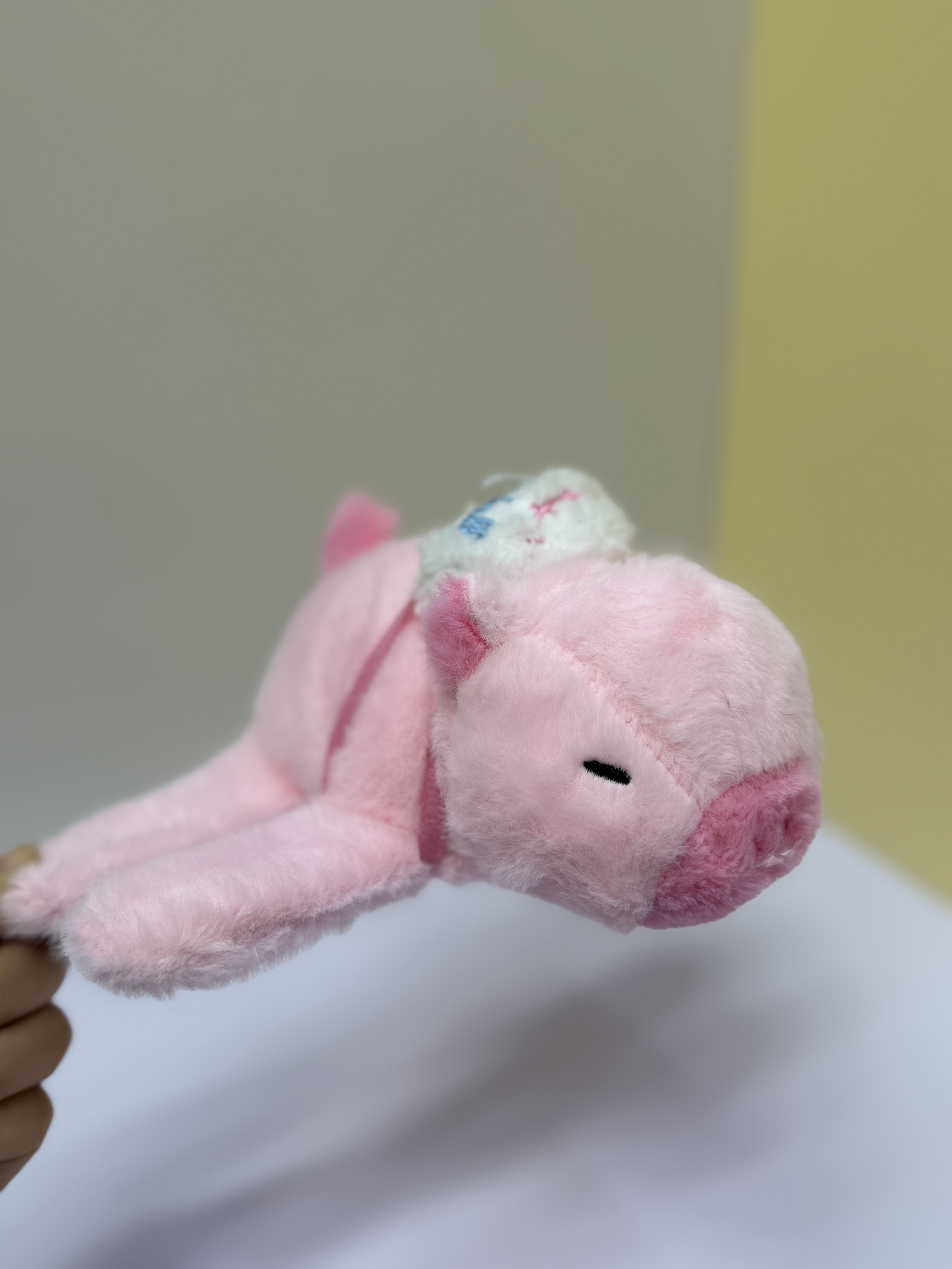 A plush toy doll of a turtle with a "Papa Circle" and a "Kapibala Back" Item Picture