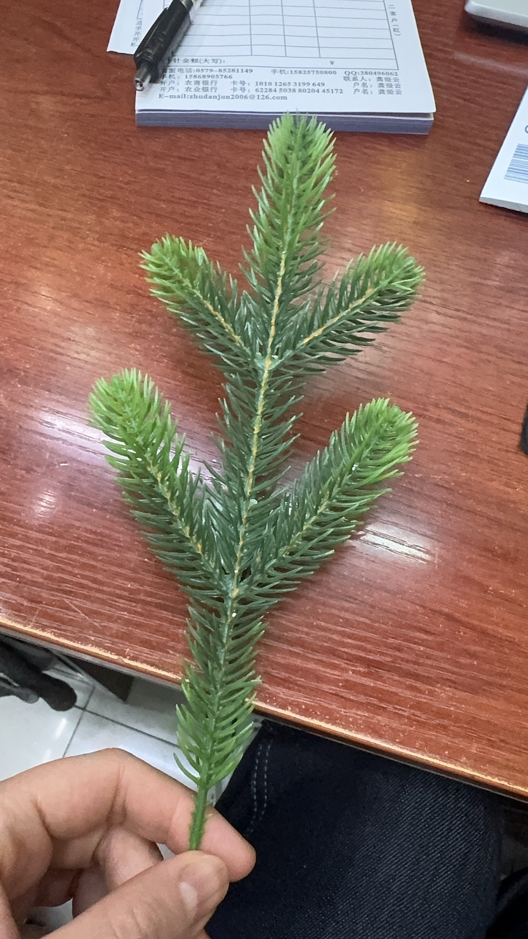 假花仿真花装饰 玉兰花藤塑料花朵 居家室内装饰品 生态环保无味假花假花假花仿真花