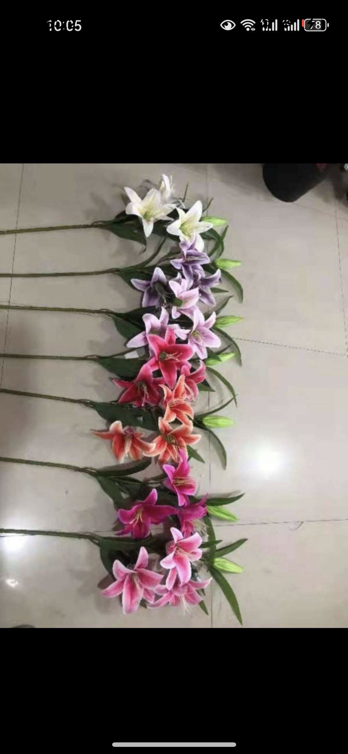 叶尤加微景观装饰滕条挂壁绢花 假花仿真花艺术品 室内外装饰品美化环境