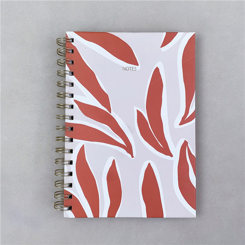 Cuaderno de comercio exterior cuaderno personalizado tipo americano A5 hardcase coil book clavija de hierro libro de texto coil cuaderno de dibujos animados coil libro de libro de mano Application Scenario