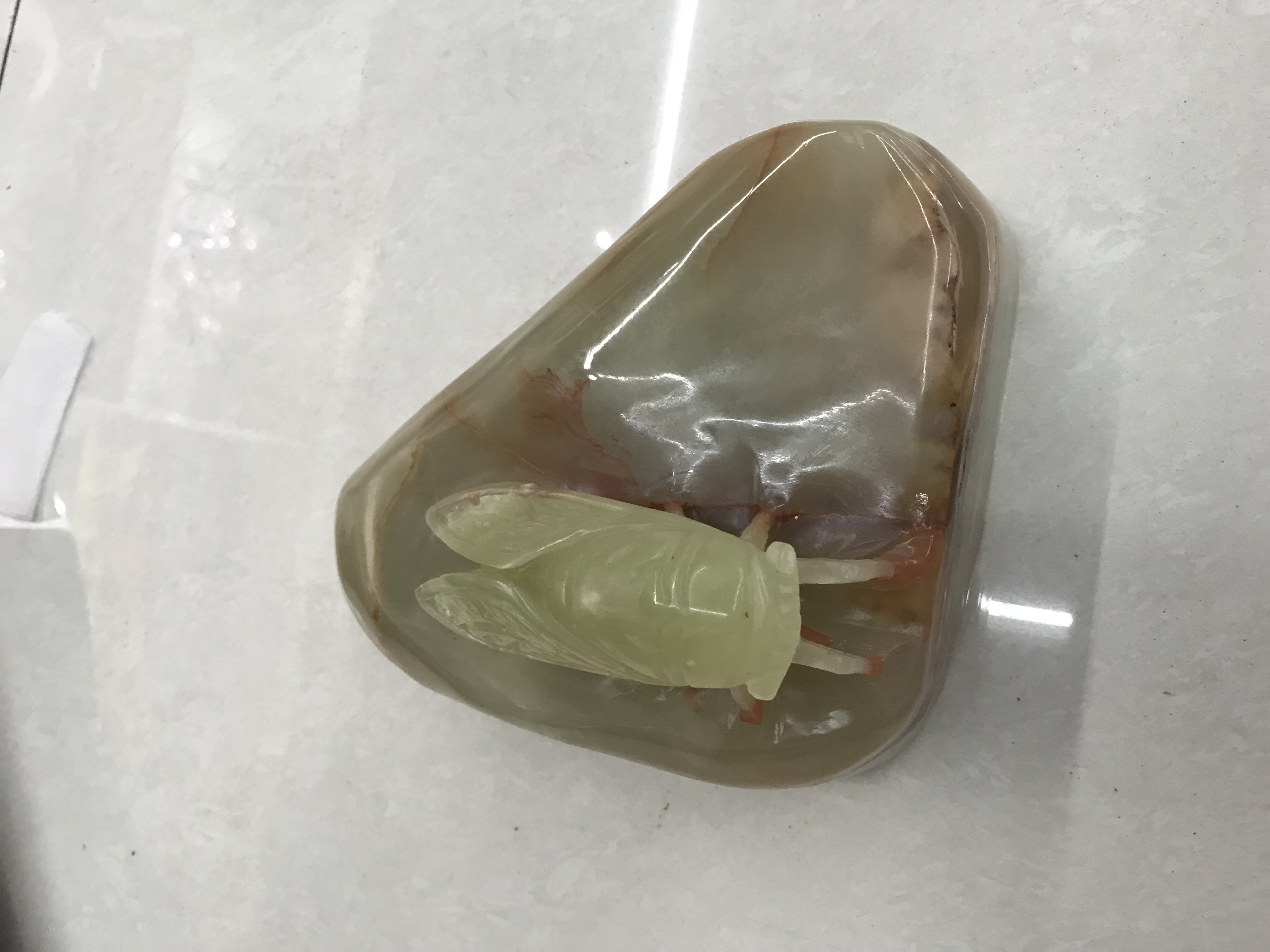 巴基斯坦玉石雕刻摆件#一鸣惊人 玉雕金蝉 一夜成名#