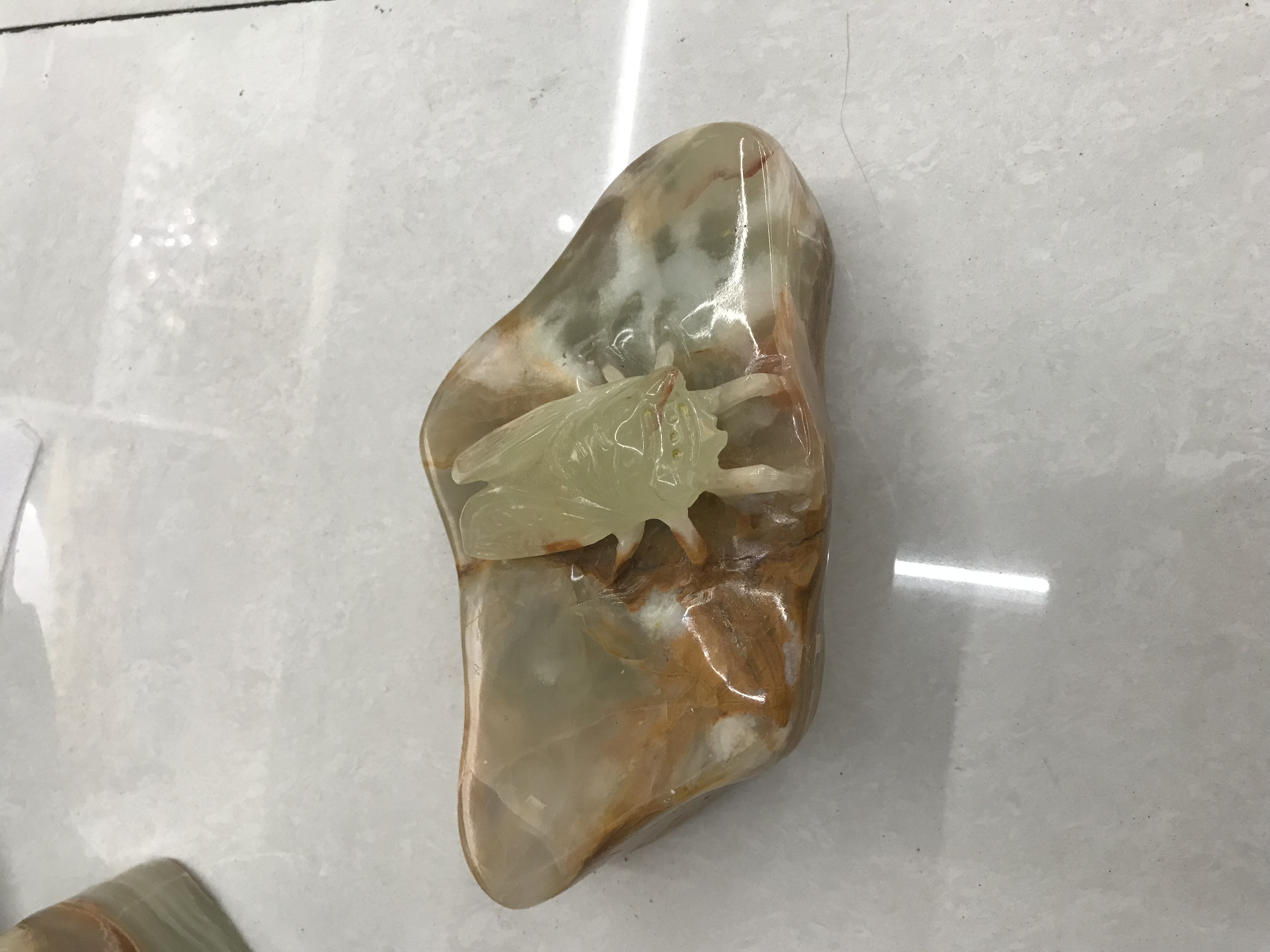 巴基斯坦玉石雕刻摆件#一鸣惊人 玉雕金蝉#巴玉