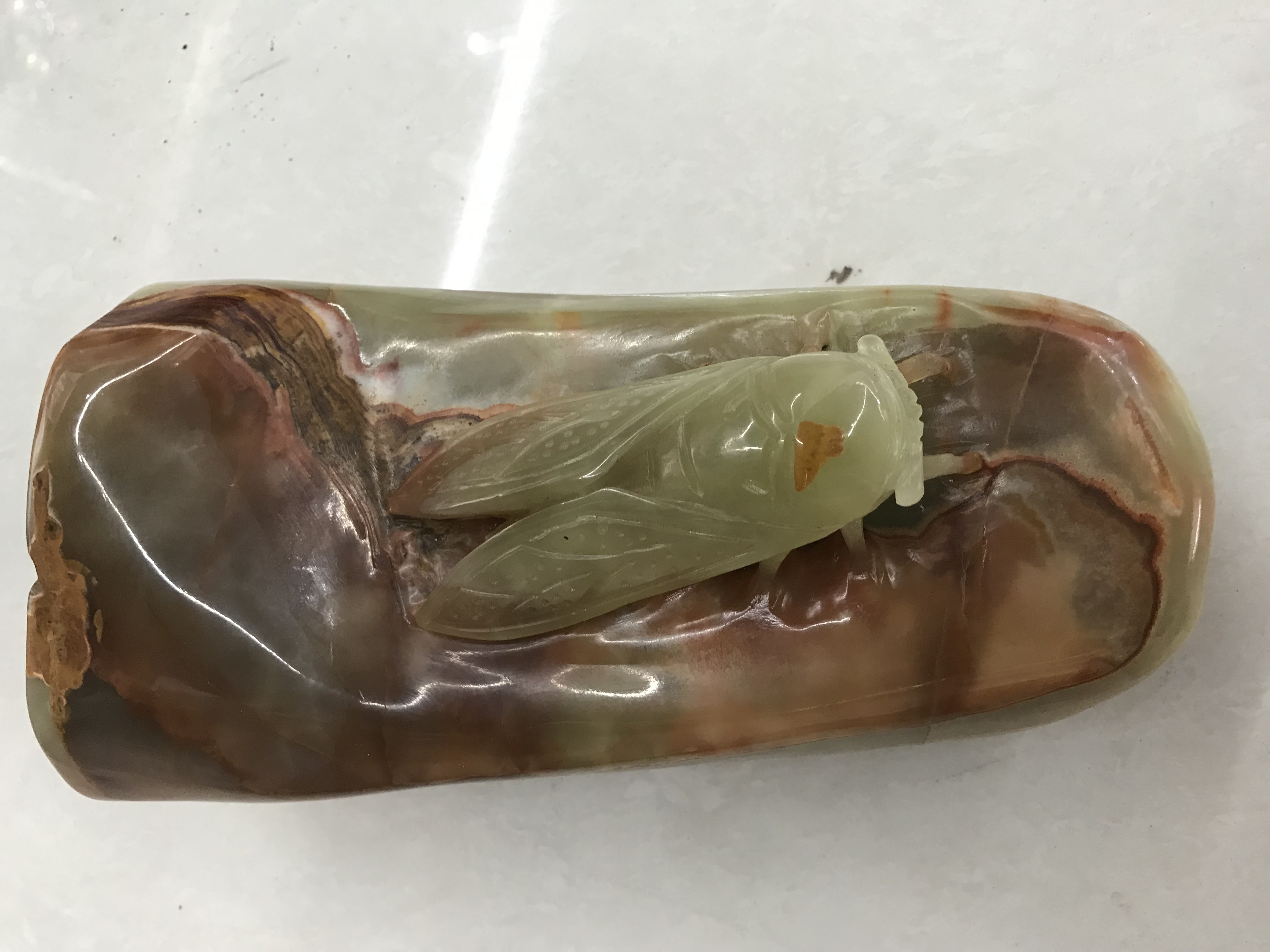 巴基斯坦玉石雕刻摆件#一鸣惊人 玉雕金蝉#一体天然