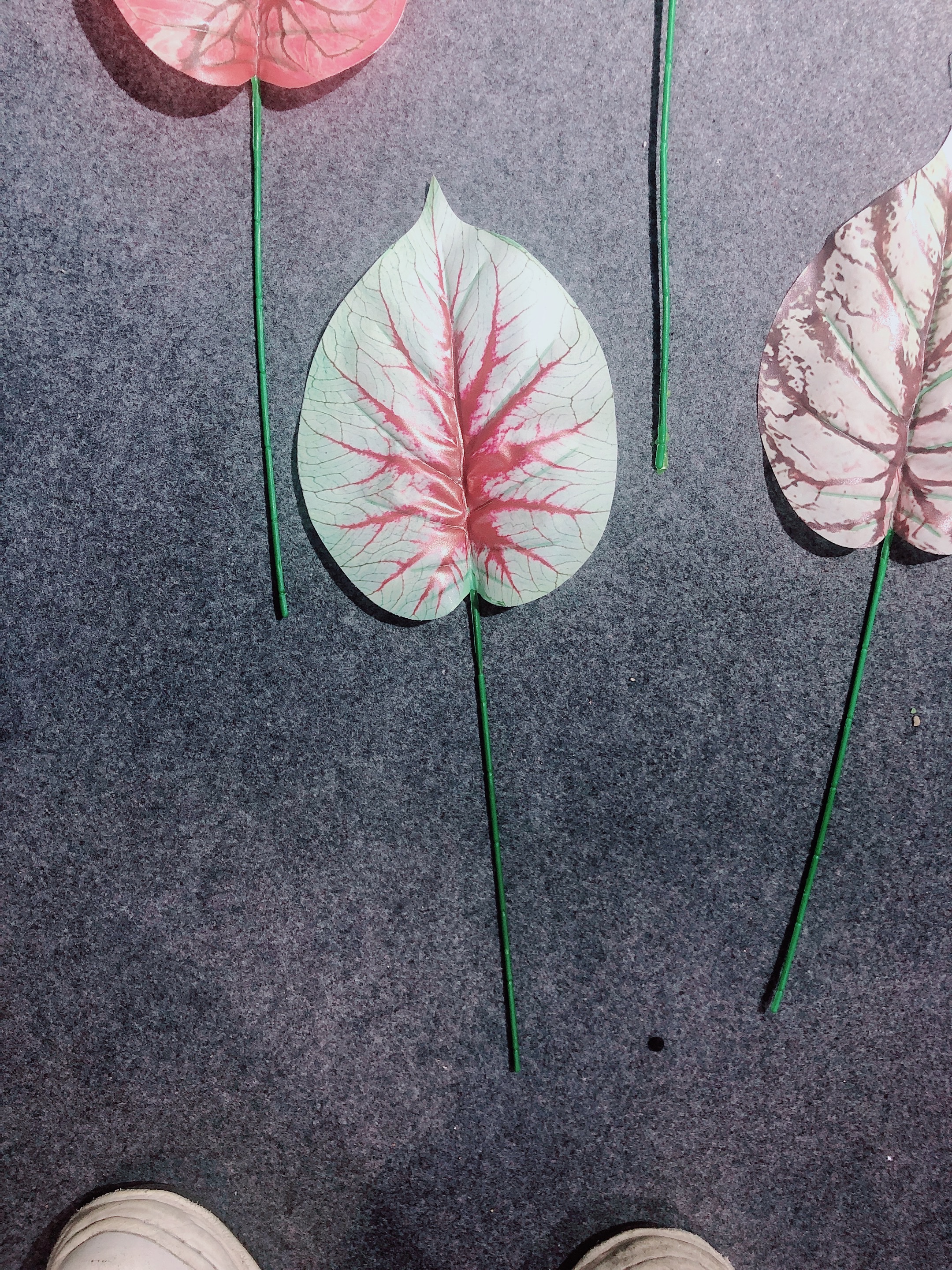 植物工艺品实物图