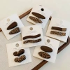 A pair of retro leopard print hair clips, side clips for women, 2025 new high-end bangs clips, half-tied hair clips, one-line hair accessories Application Scenario