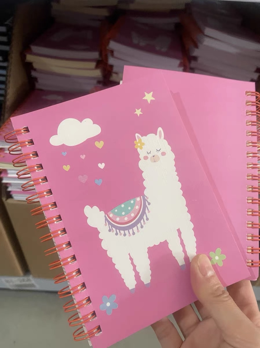 Exportar cuaderno A5A6 cuaderno a medida en masa para estudiantes de secundaria iniciales con soft codex notepad details Picture