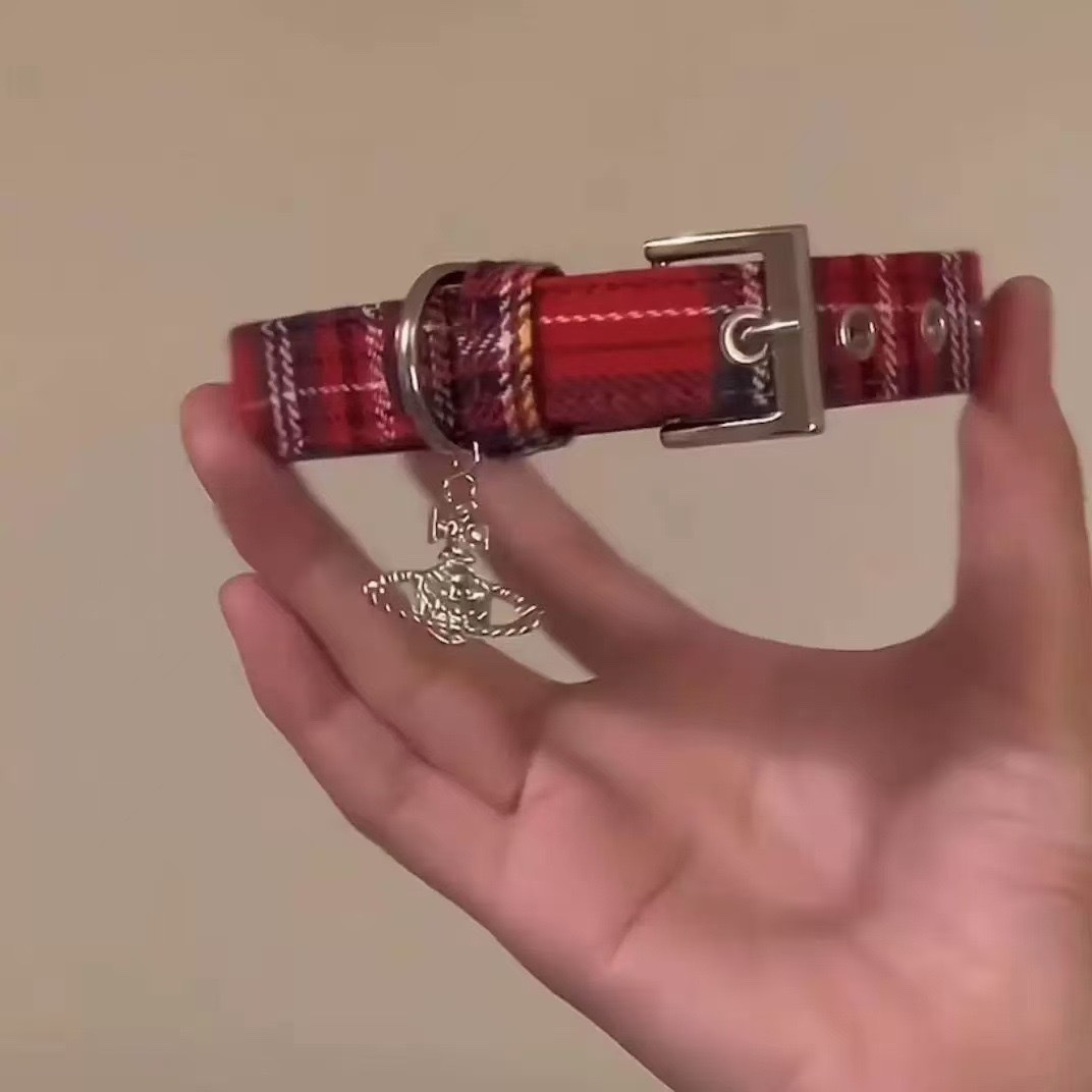 Simple red checkered bone belt buckle necklace 2024 new style, elegant design sense, niche high-end and versatile necklace detail image 5