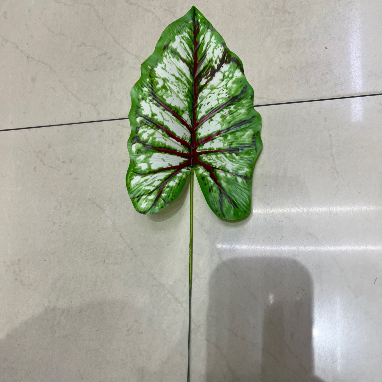小号的铁丝的彩虹叶绿色，浅色的，叶片是胶布的
