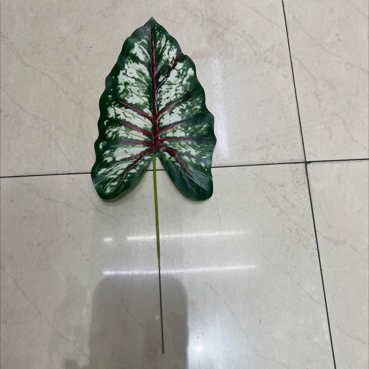 小号的铁丝的彩虹叶绿色，深色的，叶片是胶布的