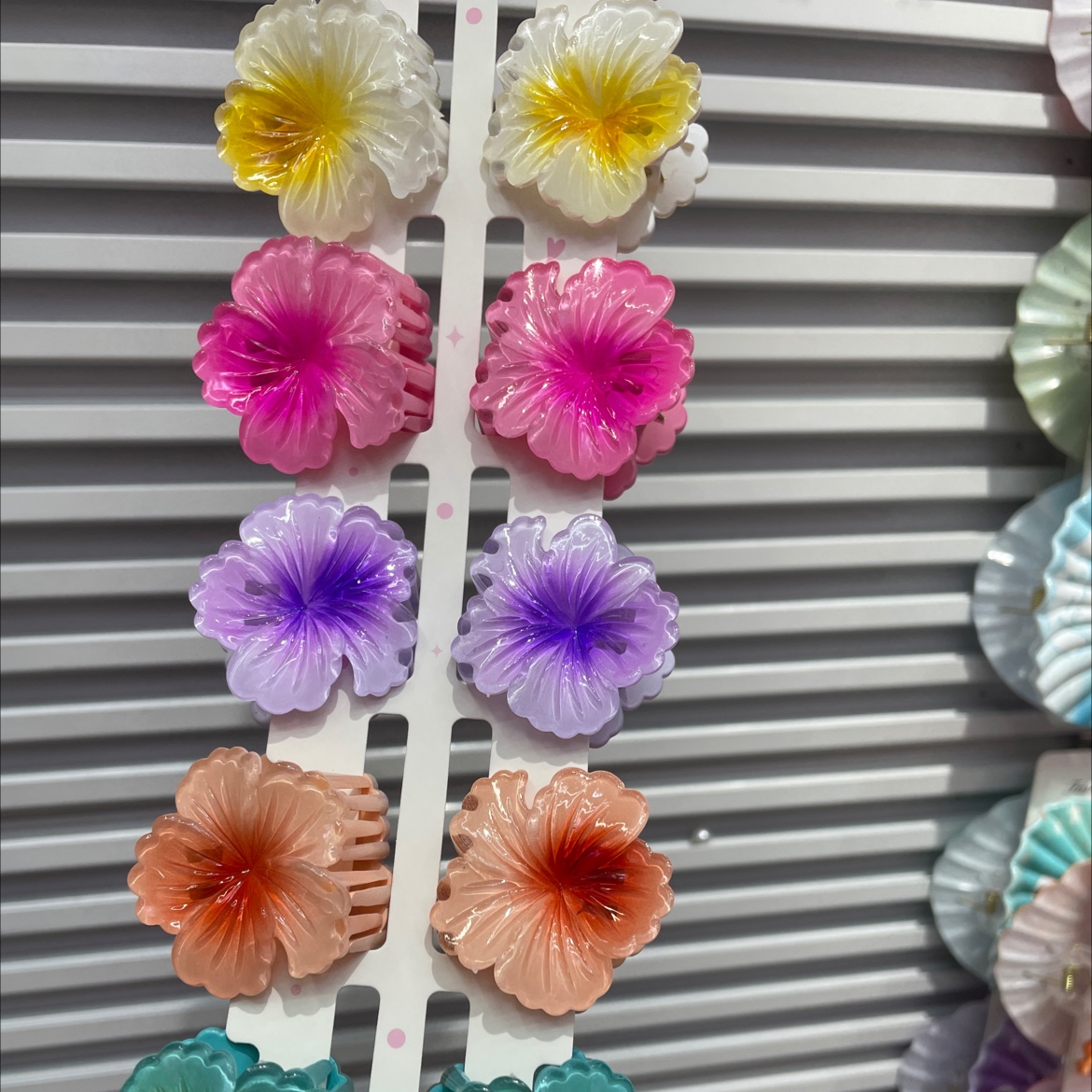 Acrylic hair clips, fashionable grab clips, headwear, simple hair accessories, versatile styling accessories, ladies' hair clips details Picture