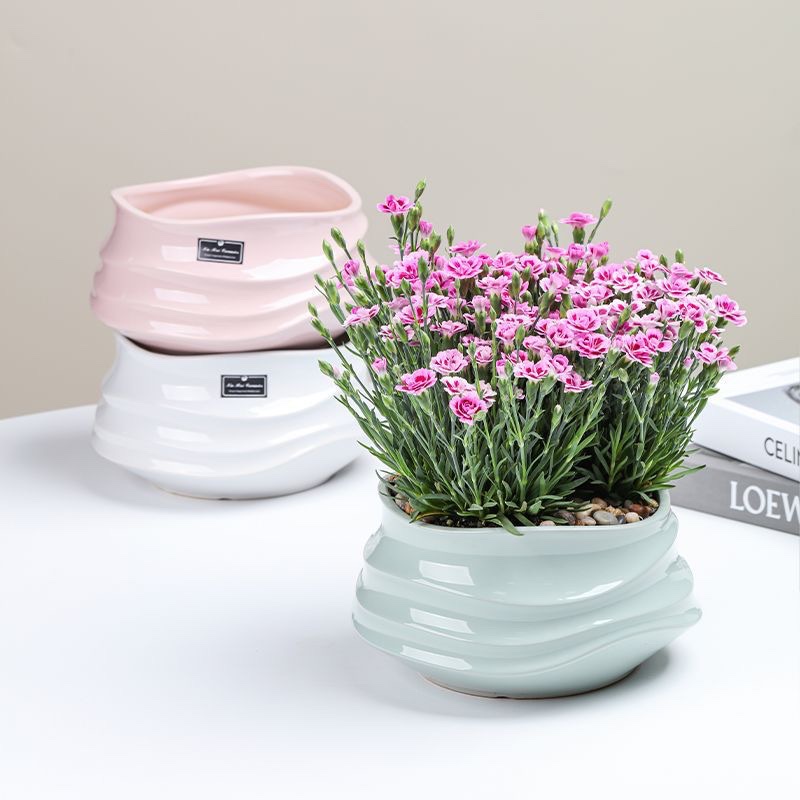 盆栽/小盆栽/手工针织向日葵/手工向日葵/手工编织花束毕业季细节图