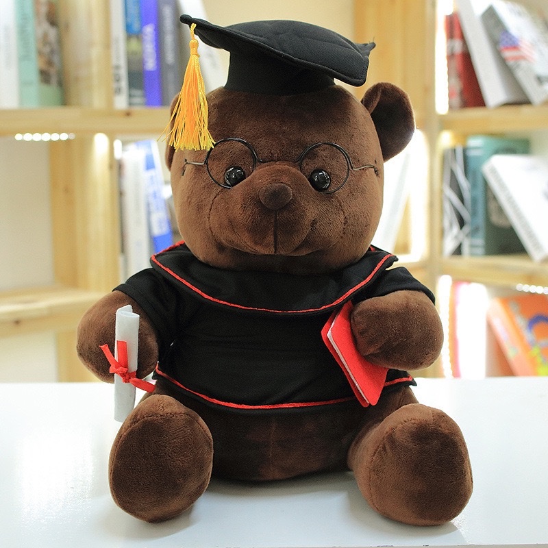 Cute graduation bear plush toy, Doctor Teddy bear figurine, high school and college graduation gift, kindergarten detail image 9