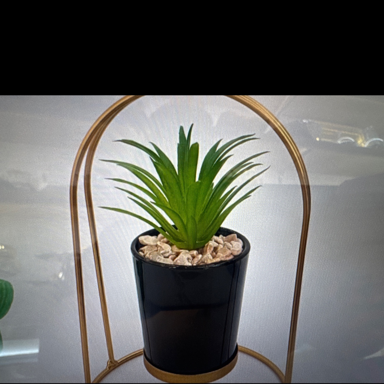 办公族桌面摆件小绿植详情图3