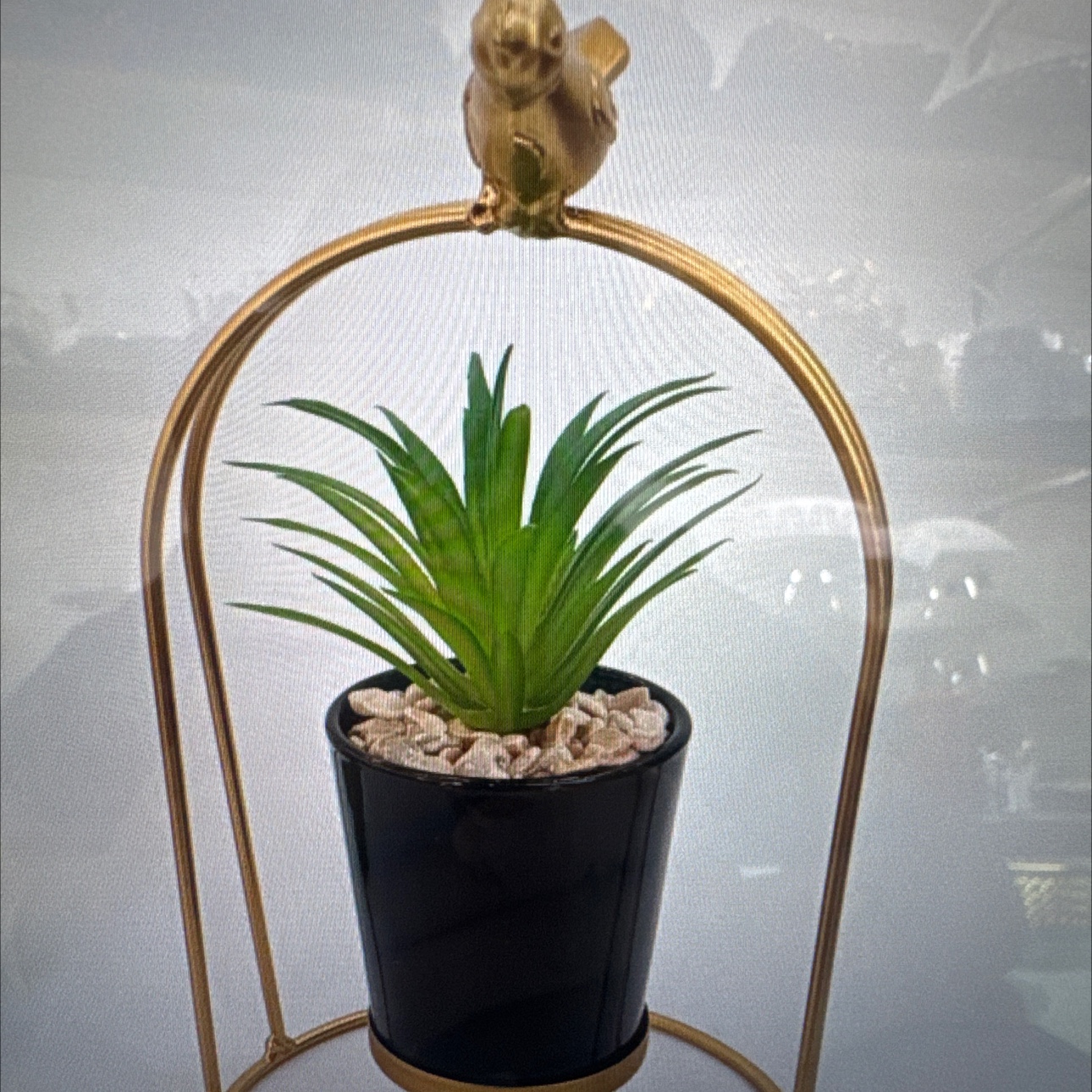 办公族桌面摆件小绿植产品图