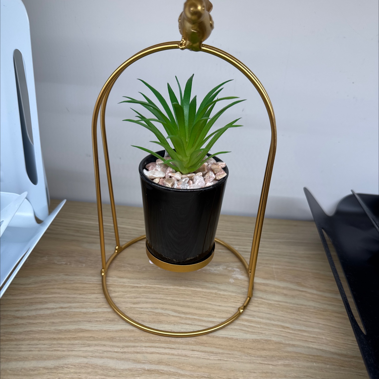 办公族桌面摆件小绿植