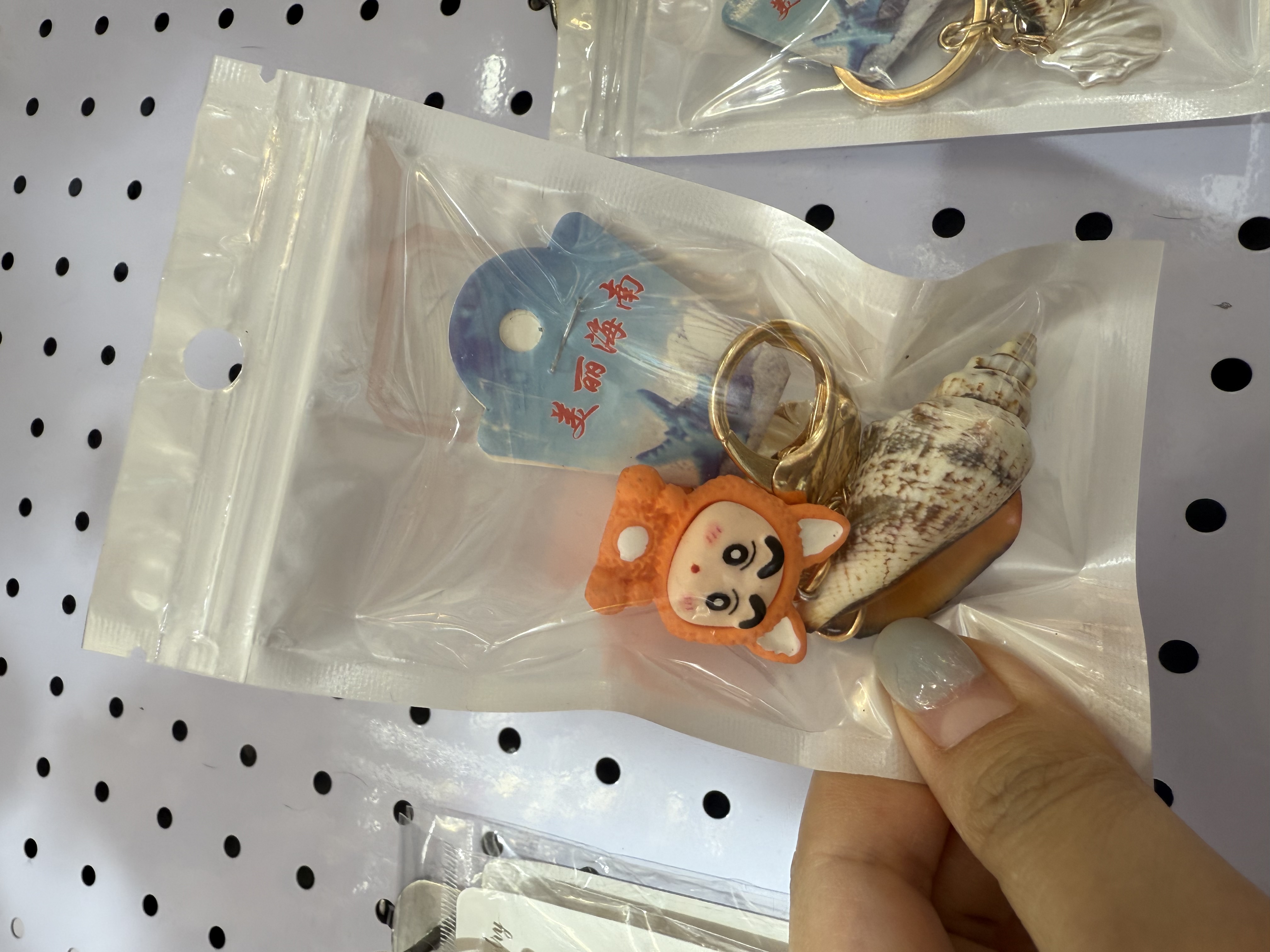 贝壳制品海螺挂坠钥匙扣工艺品 海星海螺穿孔装饰 创意家居摆件贝壳制品海螺挂坠详情图2