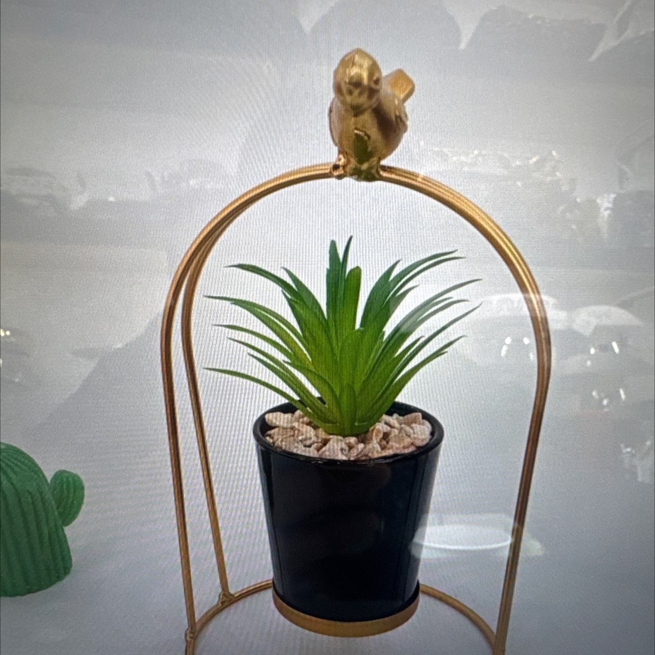 办公族桌面摆件小绿植细节图