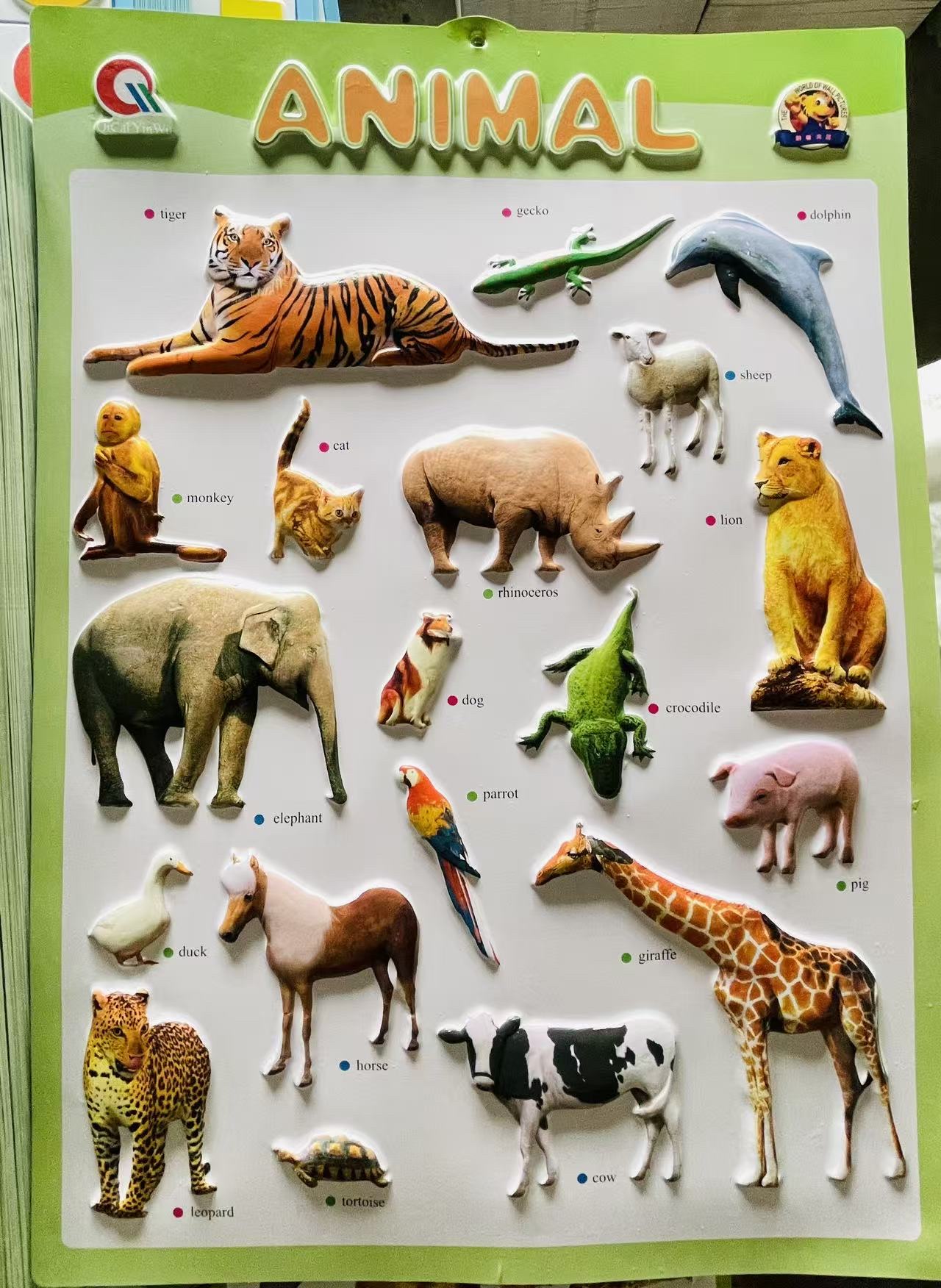 英文学习主题认知时间水果颜色动物身体儿童教育海报现货详情7