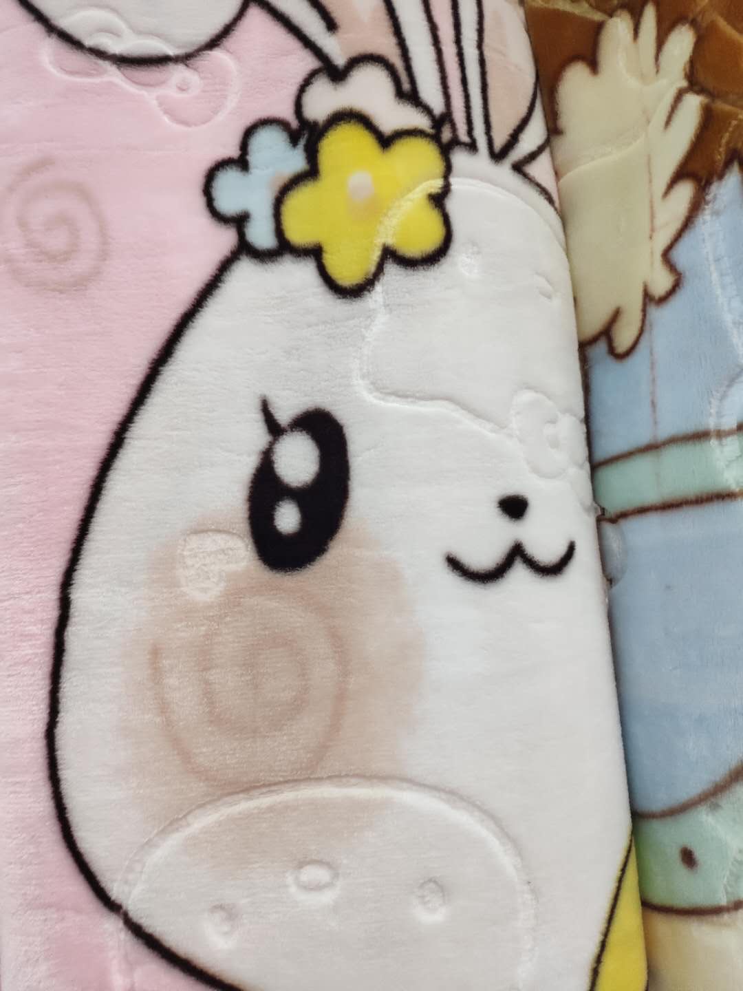 法兰绒厂家直销毛毯 新款保暖法兰绒床单毯 舒适柔软家居毛毯