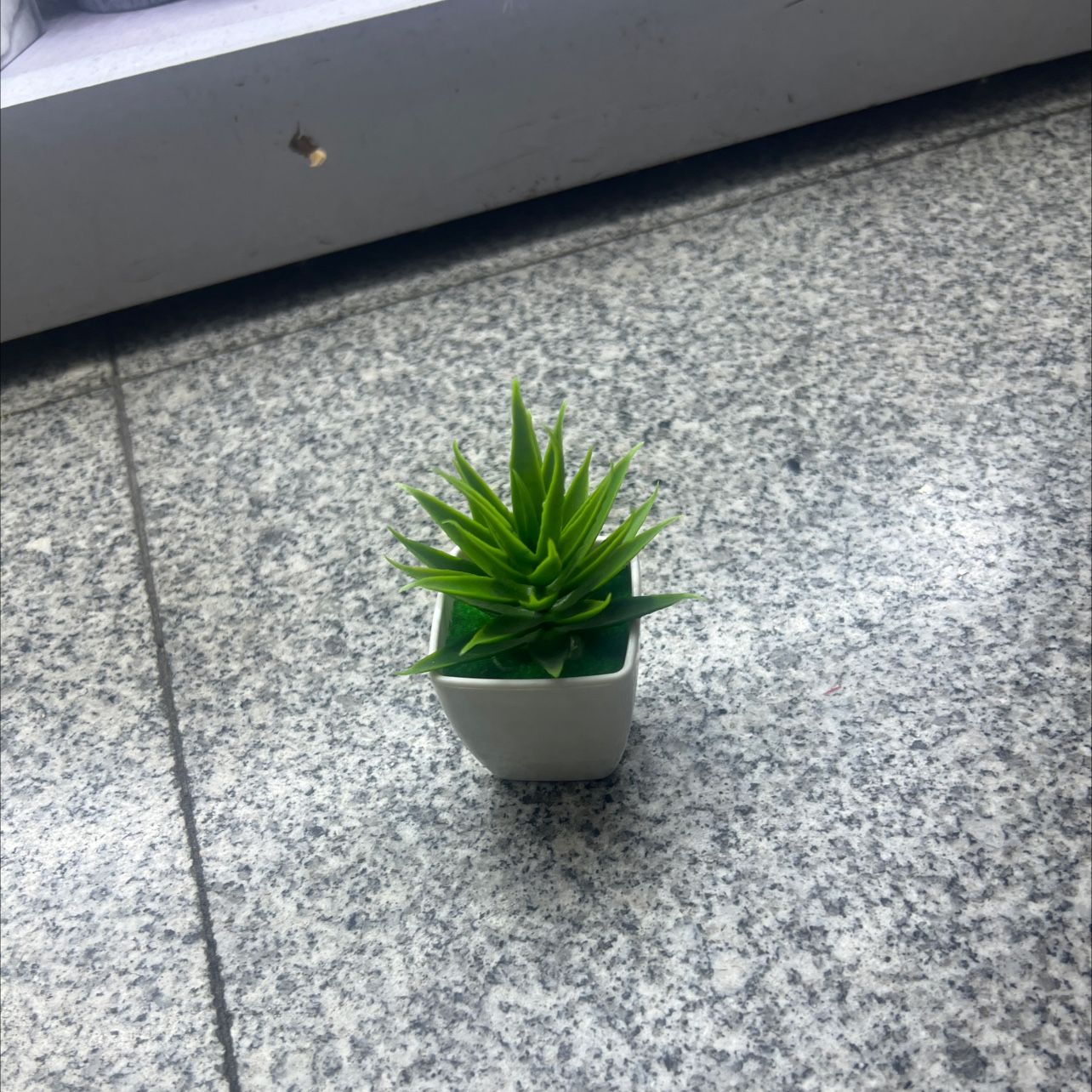 仿真绿植松树微景观装饰植物假树盆栽室内桌面摆件绿植仿真盆栽微景观