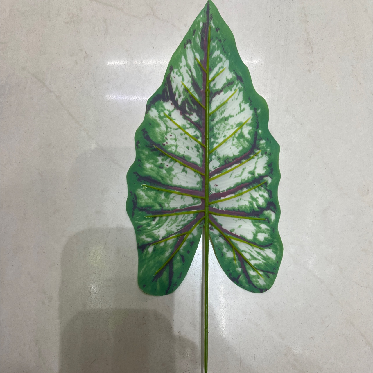 小号的铁丝的彩虹叶绿色，浅色的，叶片是胶布的详情图4