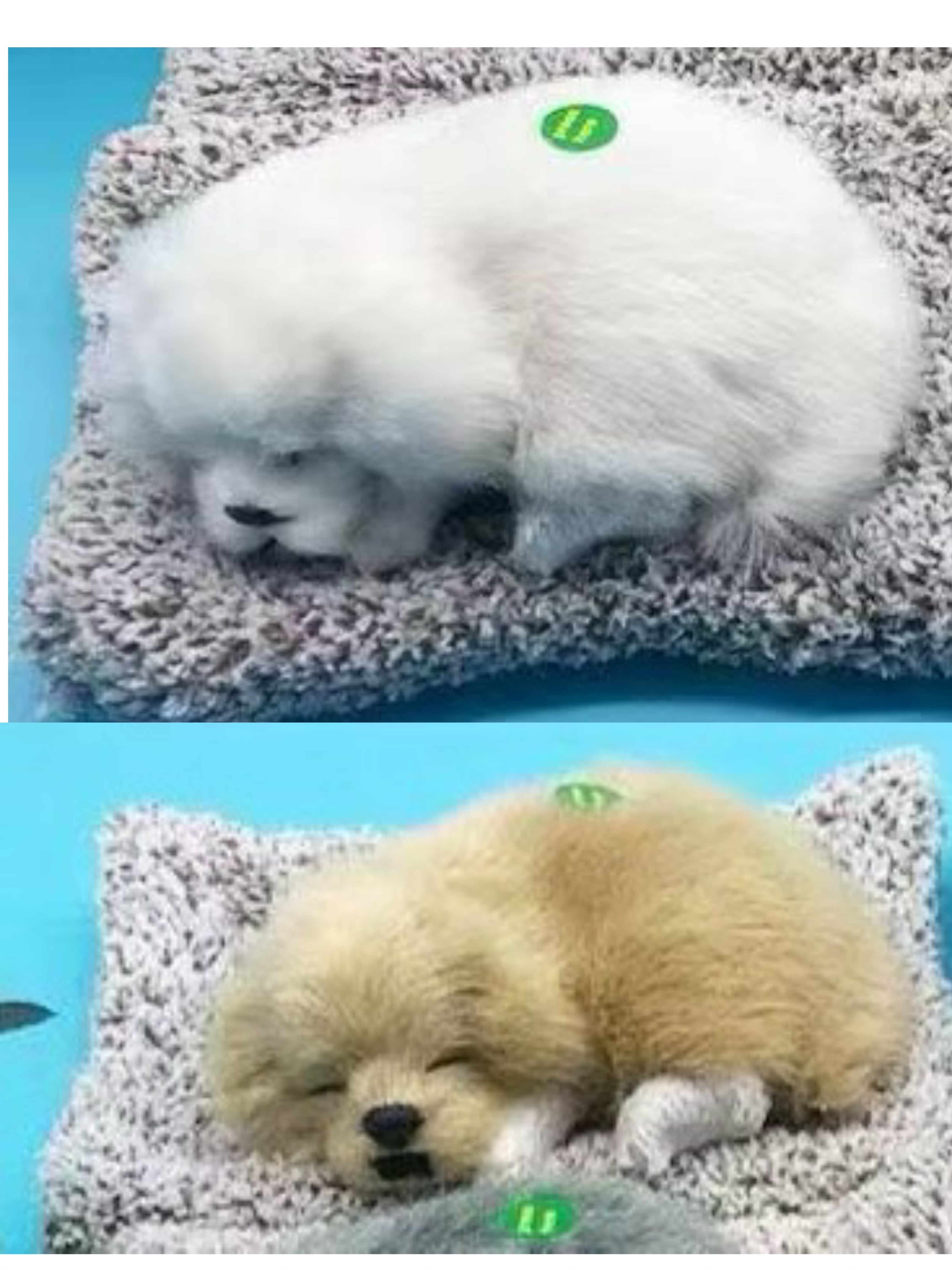 物猫仿真猫咪树脂玩具摆件 竹炭狗汽车用品 车载装饰品 汽车仿真猫摆设汽车仿真猫树脂玩具摆件仿真猫咪动物猫仿真产品图