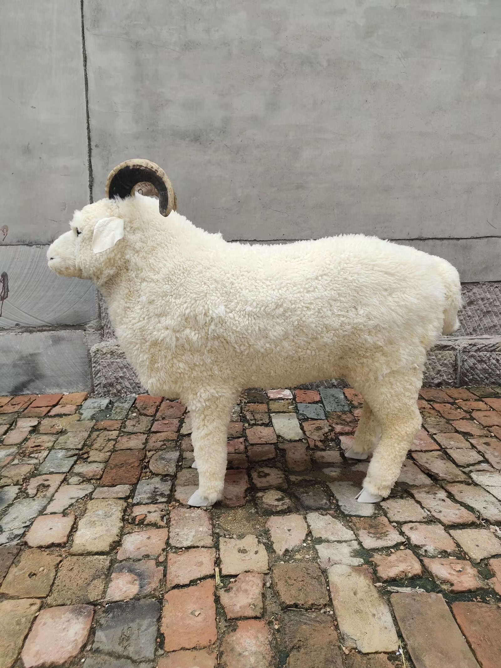 物猫仿真猫咪树脂玩具摆件 竹炭狗汽车用品 车载装饰品 汽车仿真猫摆设汽车仿真猫树脂玩具摆件仿真猫咪动物猫仿真大蓝闪蝶仿真