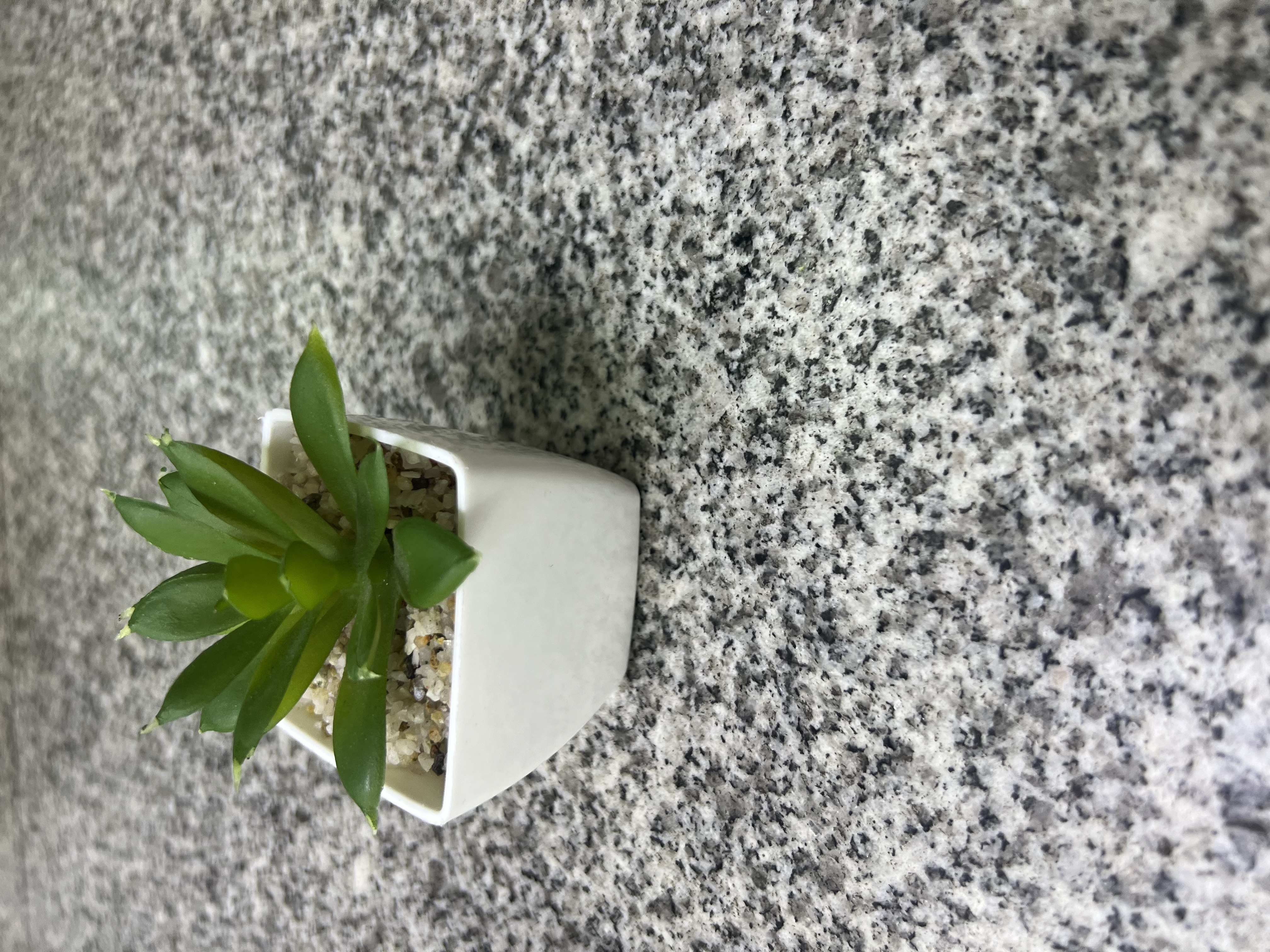 仿真绿植松树微景观装饰植物假树盆栽 创意家居摆件室内绿植仿真盆栽