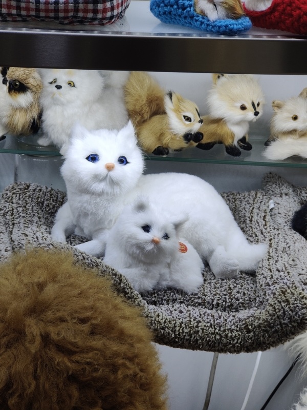 物猫仿真猫咪树脂玩具摆件 竹炭狗汽车用品 车载装饰品 汽车仿真猫摆设汽车仿真猫树脂玩具摆件仿真猫咪动物猫仿真