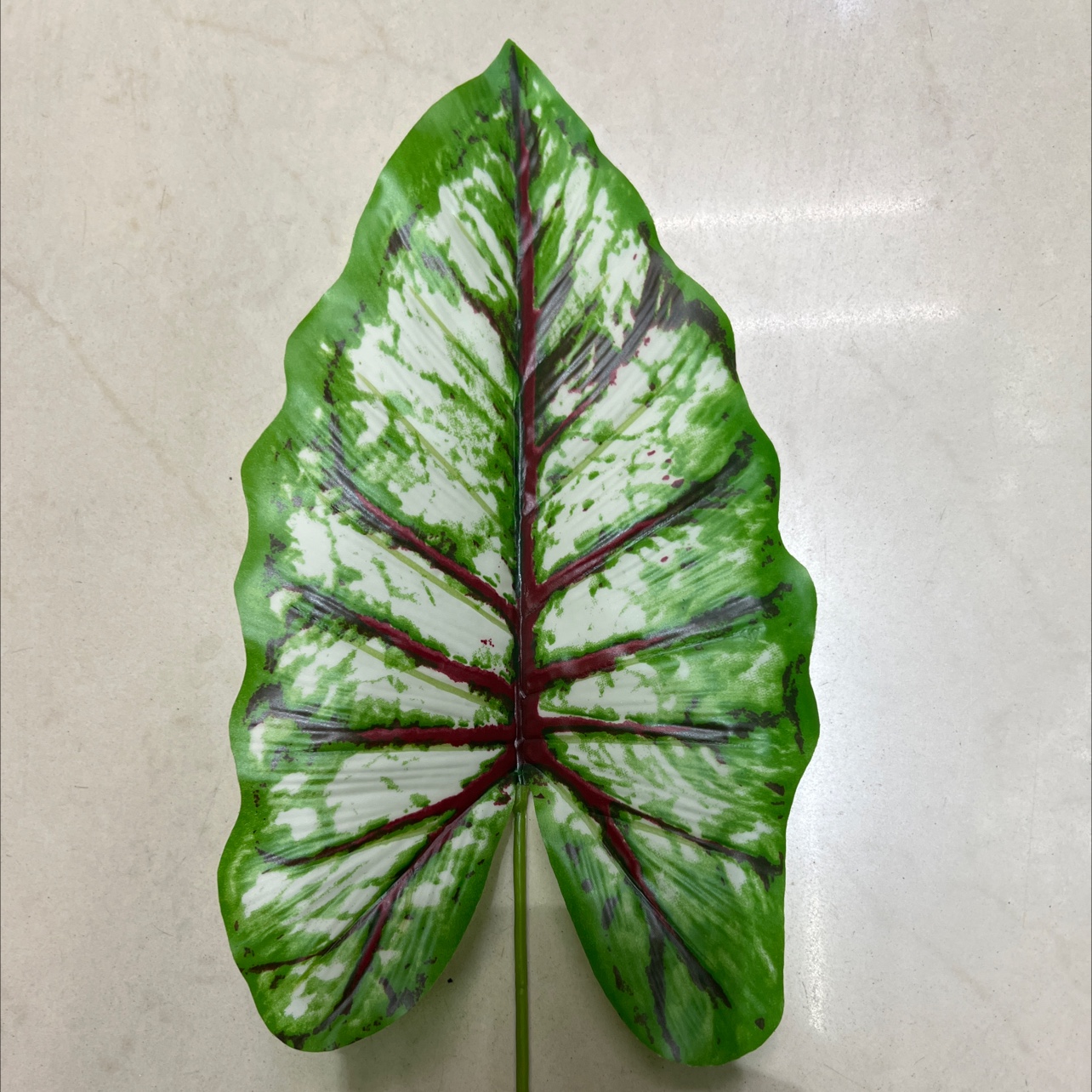 小号的铁丝的彩虹叶绿色，浅色的，叶片是胶布的详情图3