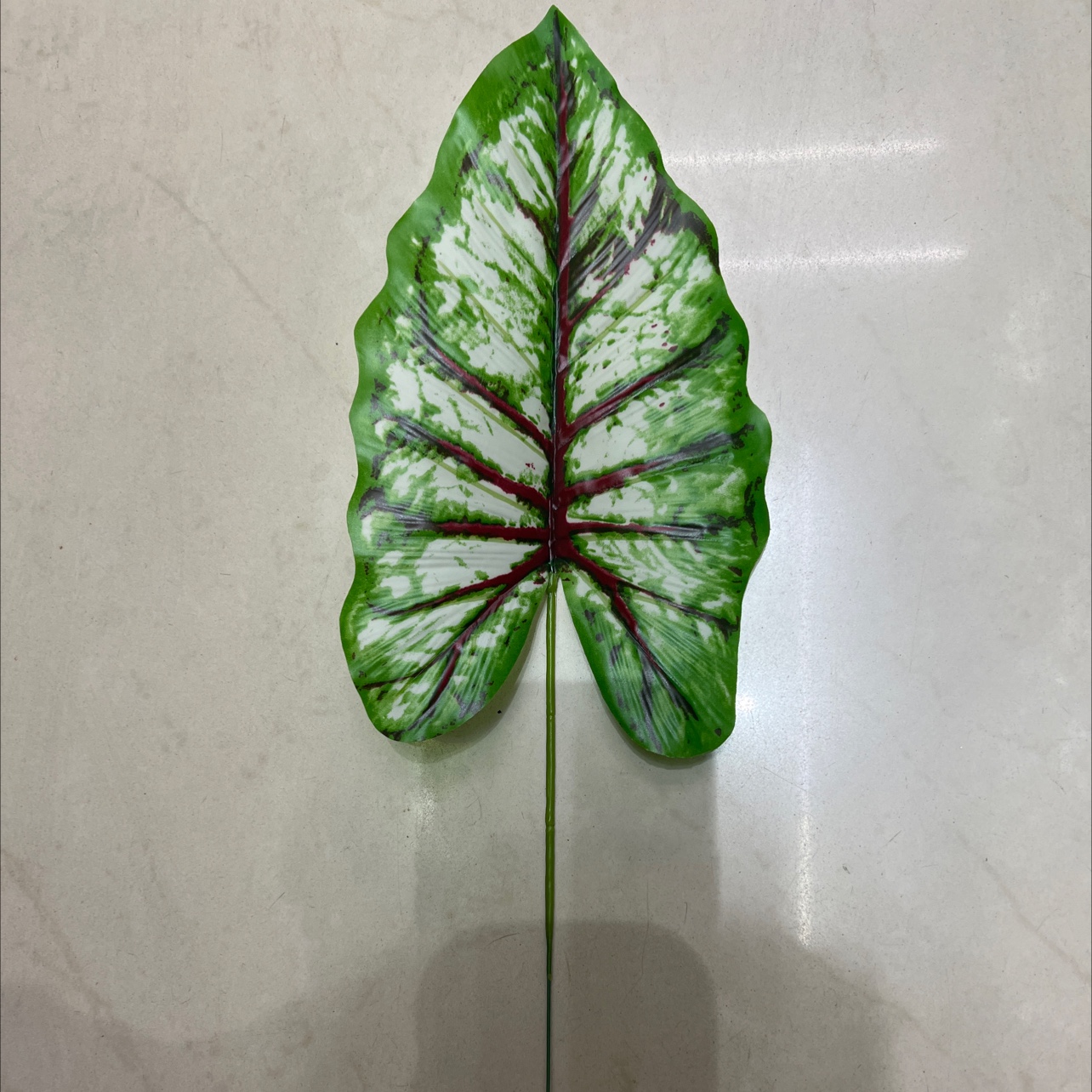 小号的铁丝的彩虹叶绿色，浅色的，叶片是胶布的详情图2