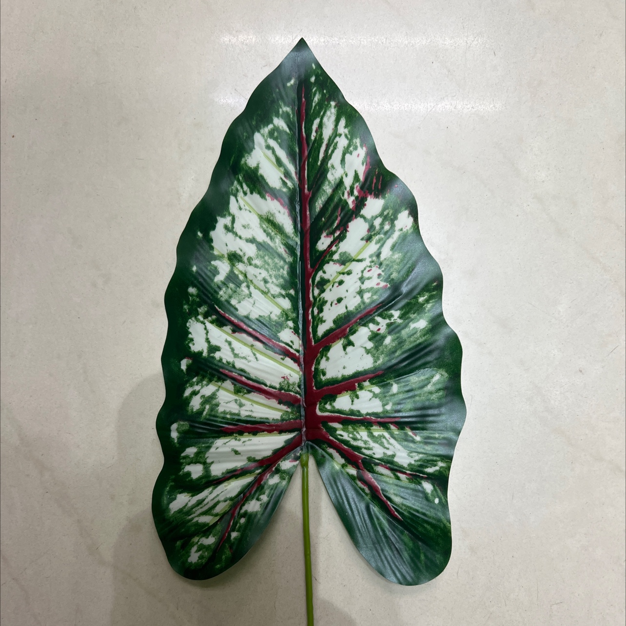 小号的铁丝的彩虹叶绿色，深色的，叶片是胶布的细节图